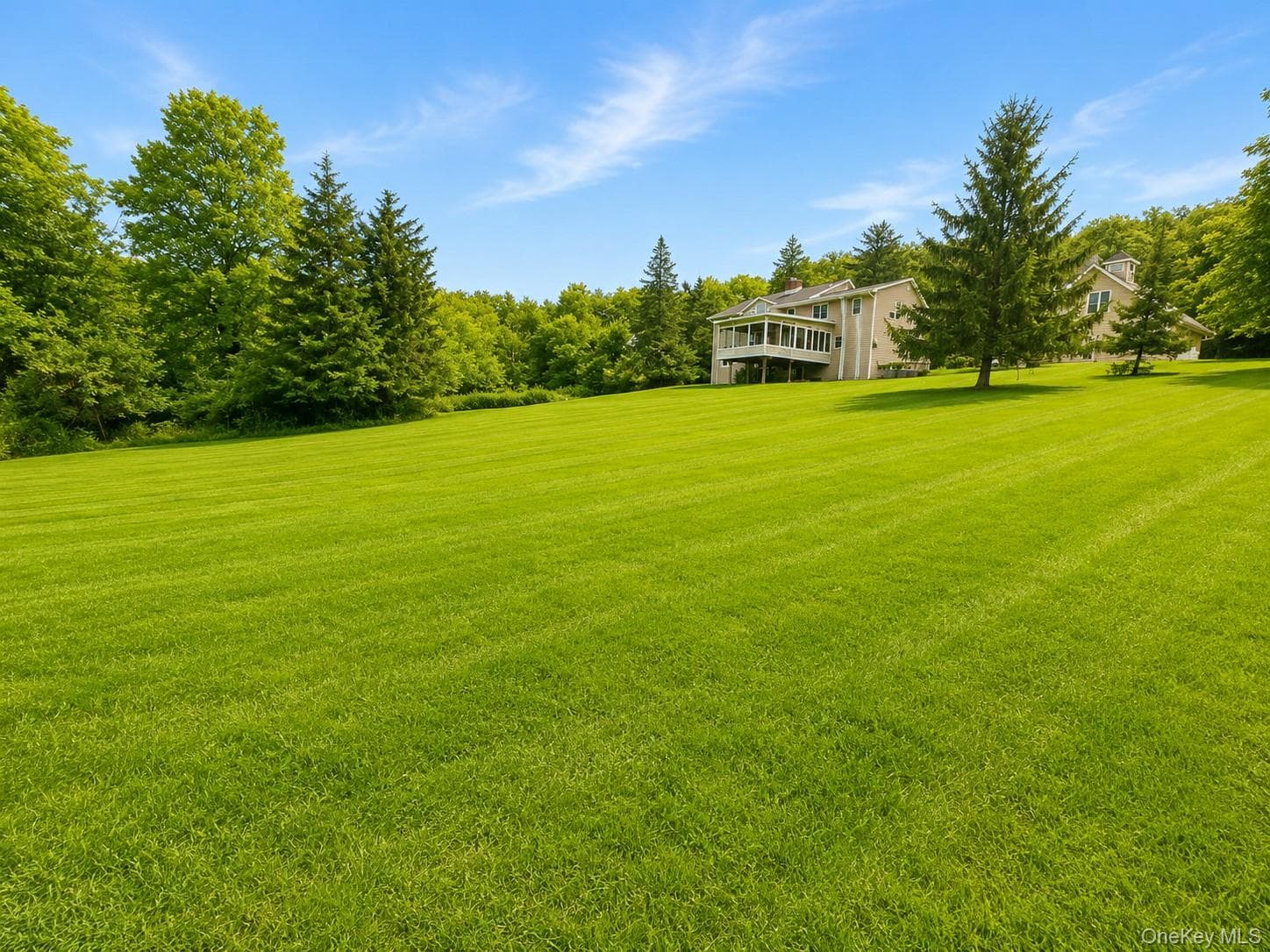 49 Helms Hill Road thumbnail 5