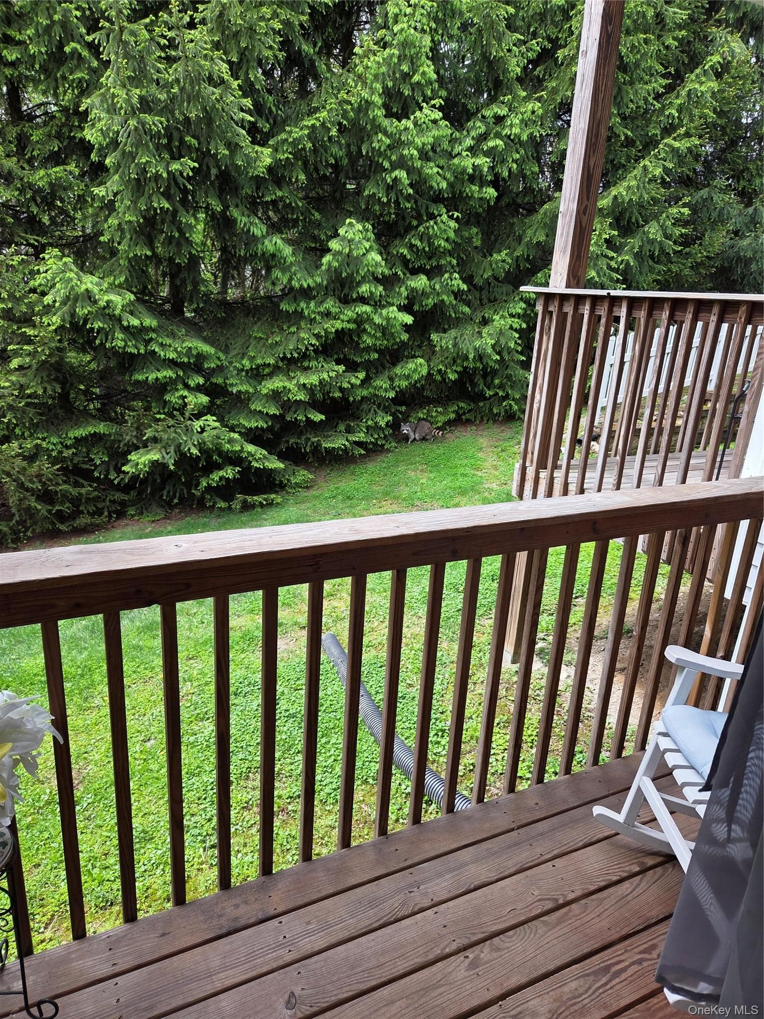 49 Aveonis Court Unit: 49 thumbnail 3