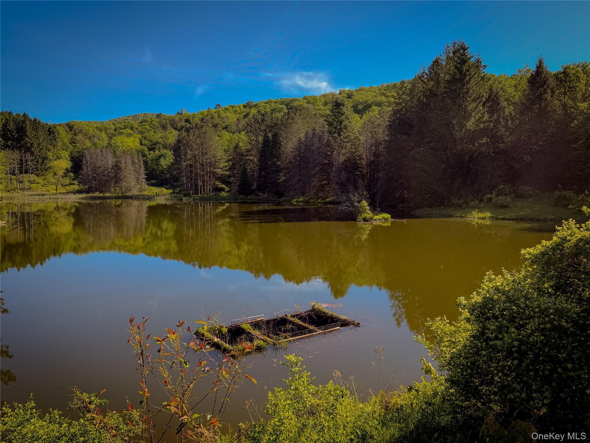 836 Emerald Lake Road thumbnail 16