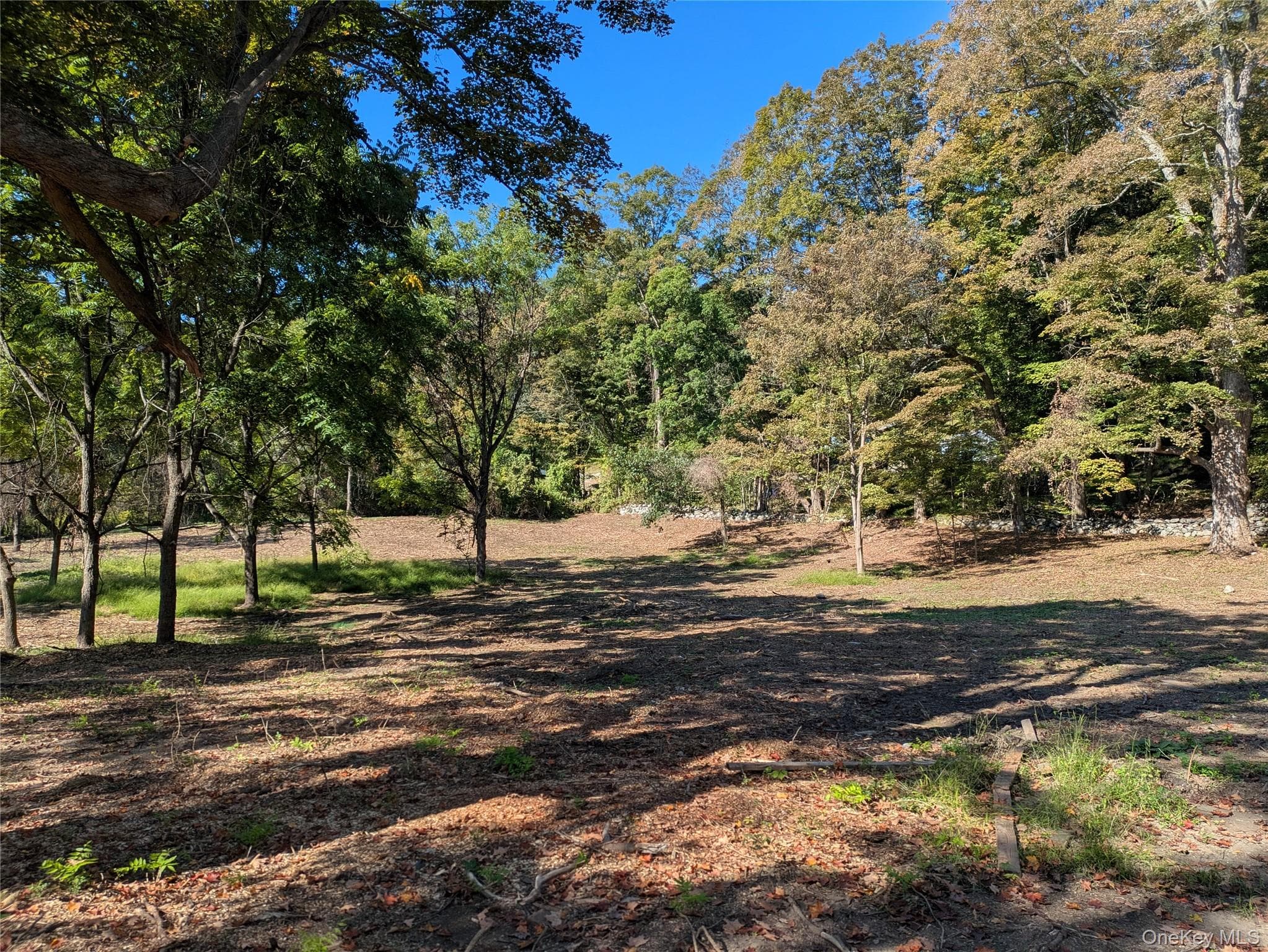 54 Reed Avenue photo 1