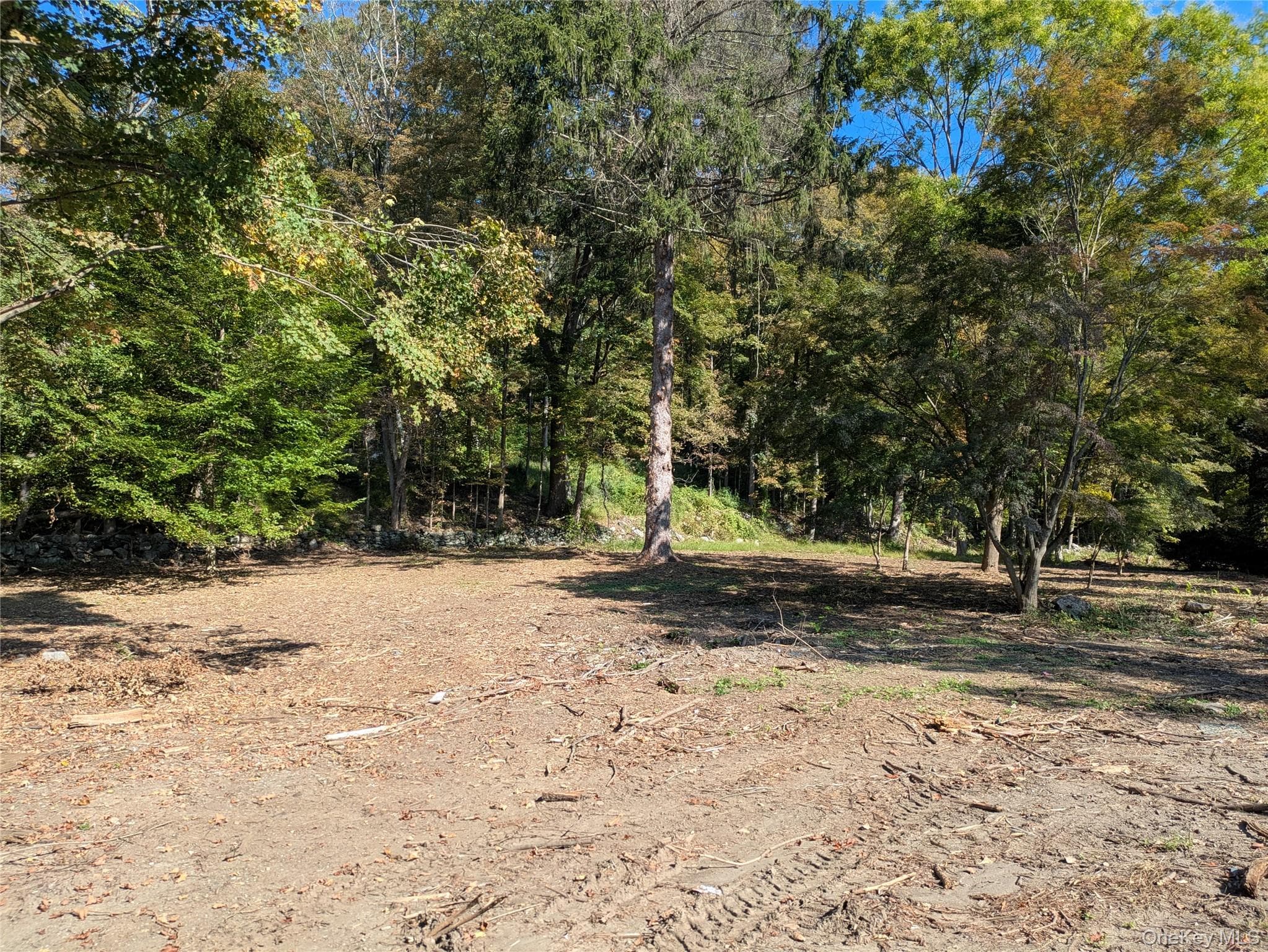 54 Reed Avenue thumbnail 2