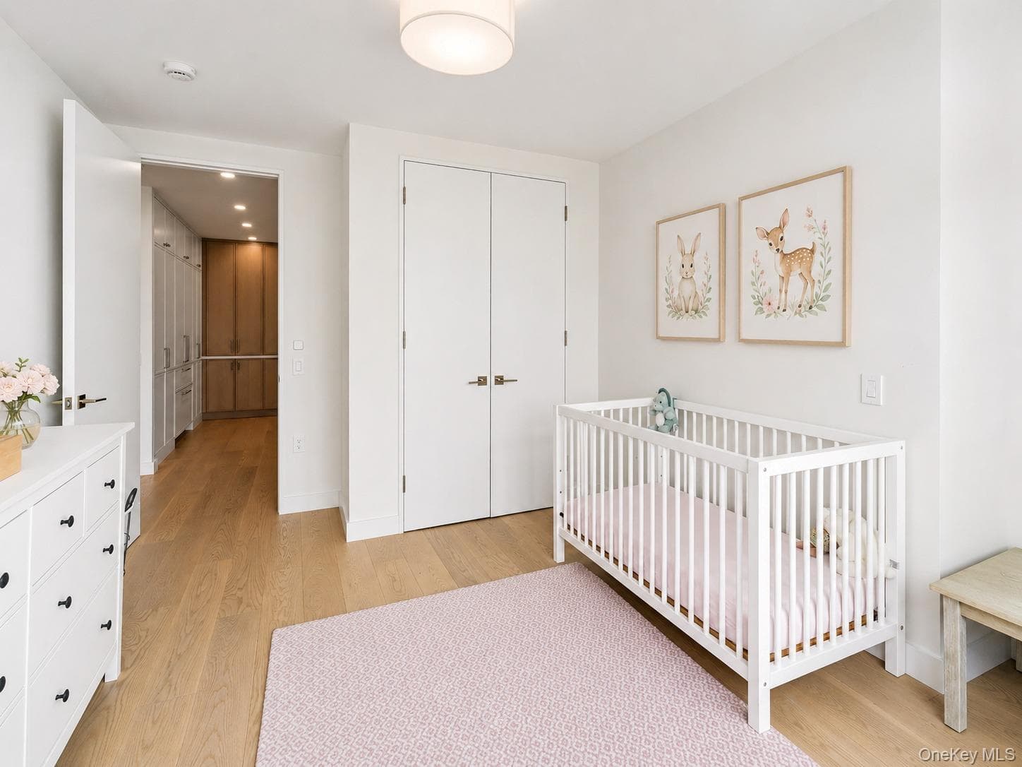 350 Albany Street Unit: 10BC thumbnail 10