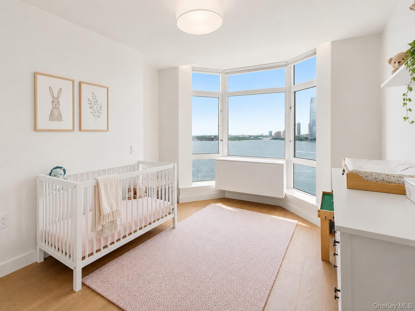 350 Albany Street Unit: 10BC thumbnail 9