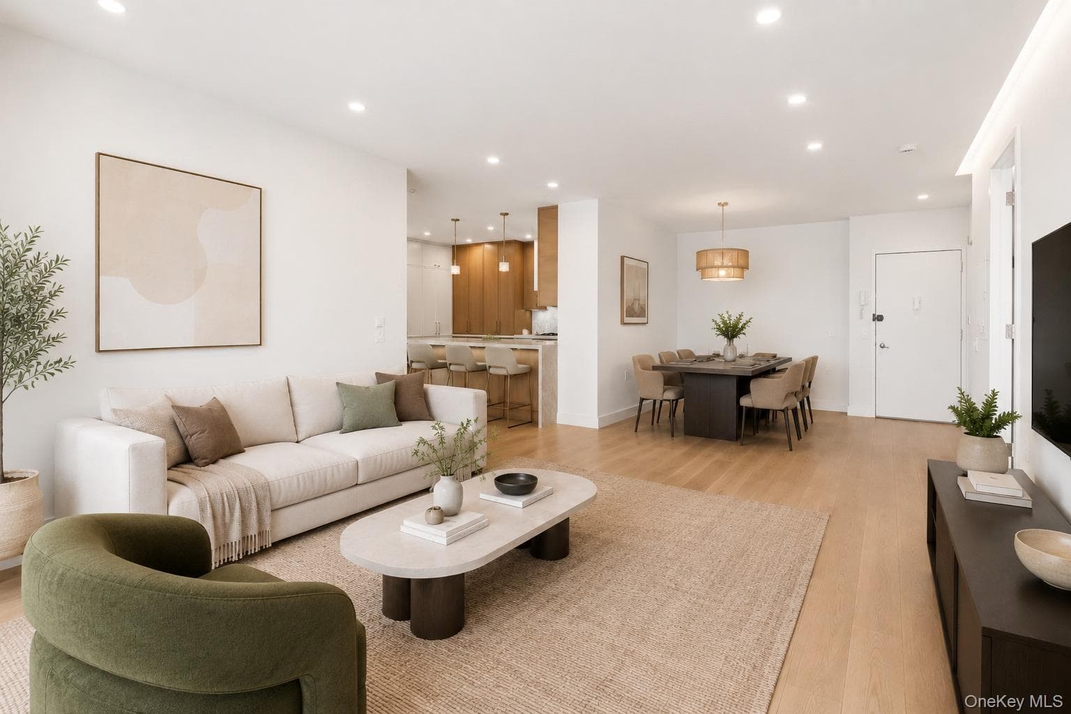 350 Albany Street Unit: 10BC thumbnail 5