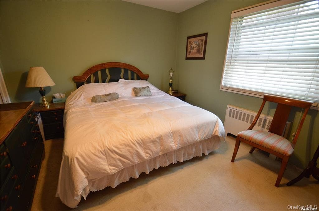 251-34 61st Avenue Unit: 1 thumbnail 13
