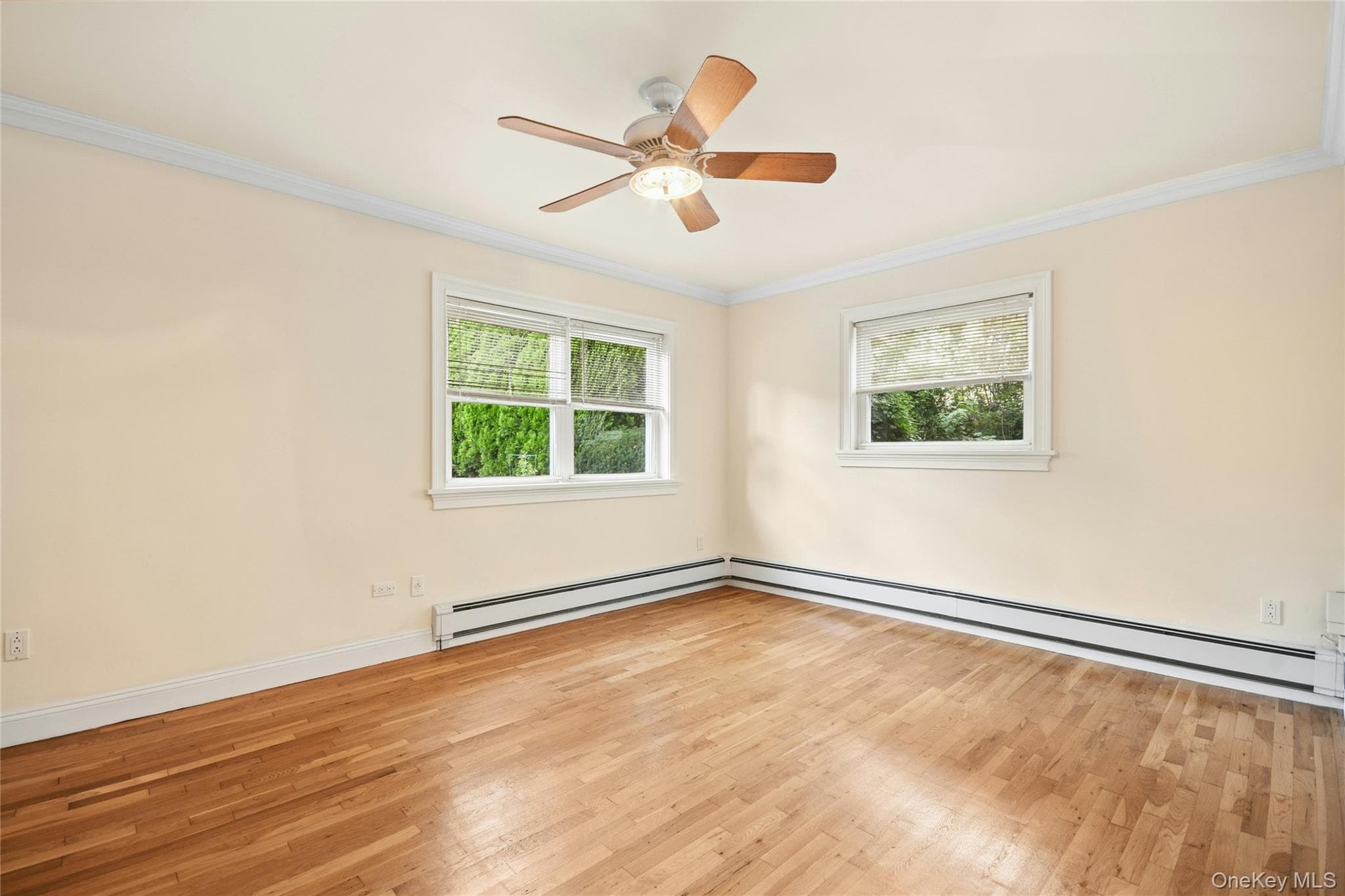 137 E 235th Street thumbnail 7