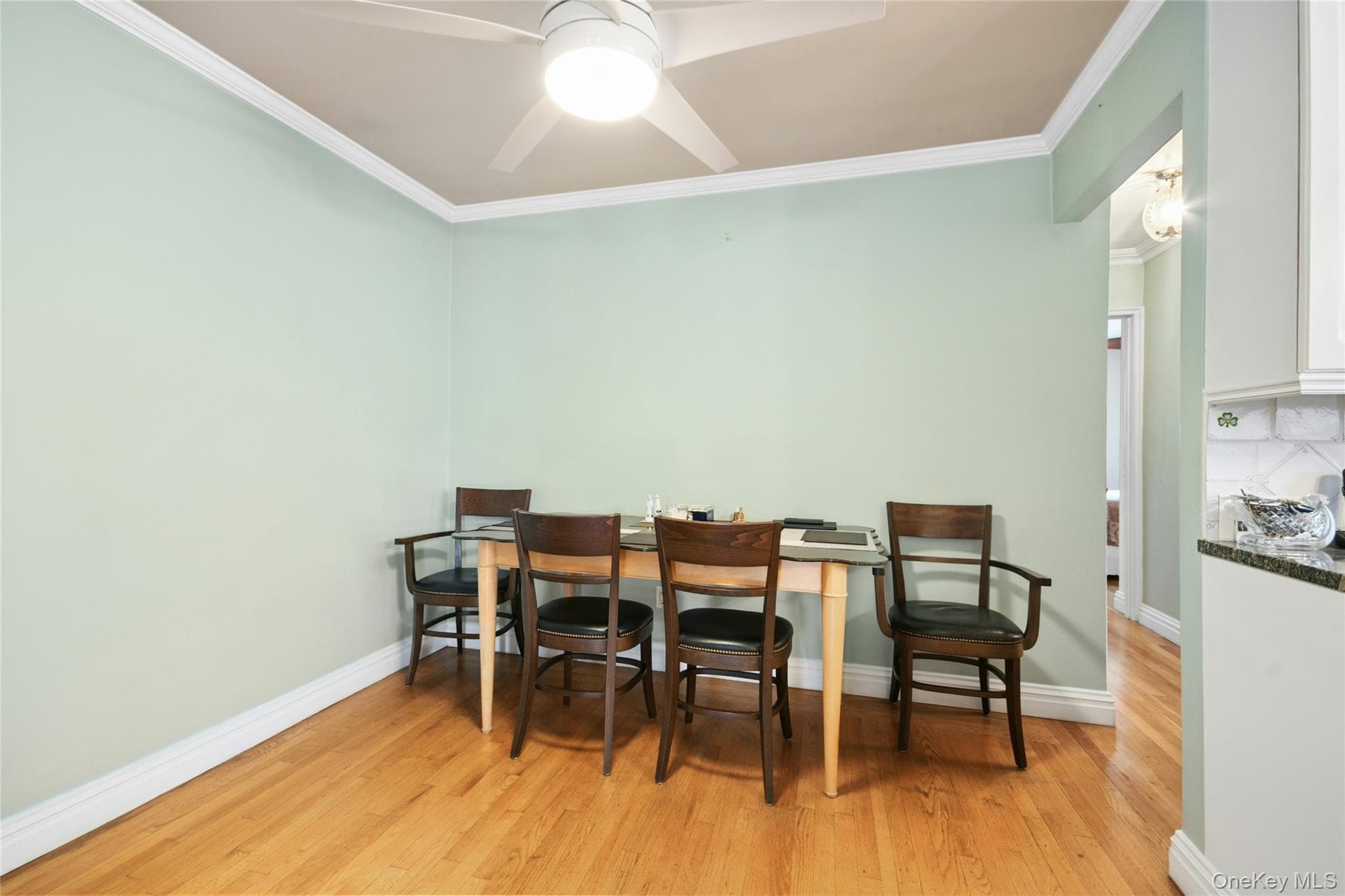 137 E 235th Street thumbnail 12