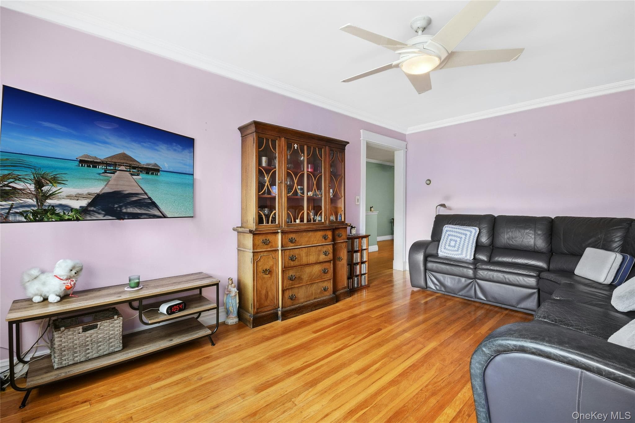 137 E 235th Street thumbnail 11