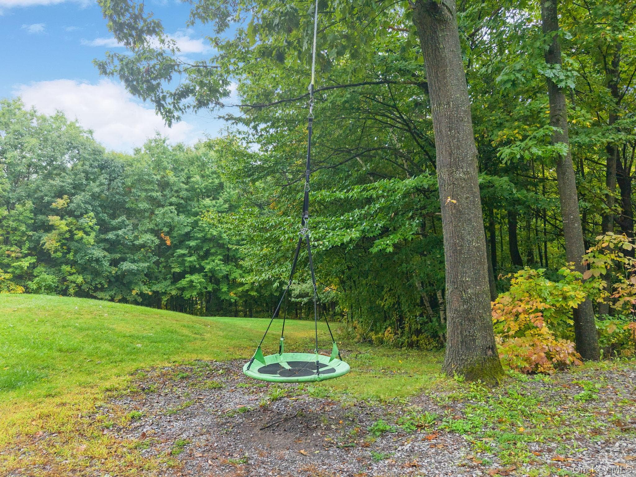 200 High Pine Meadows Rd, Middleburgh Ny Road thumbnail 45