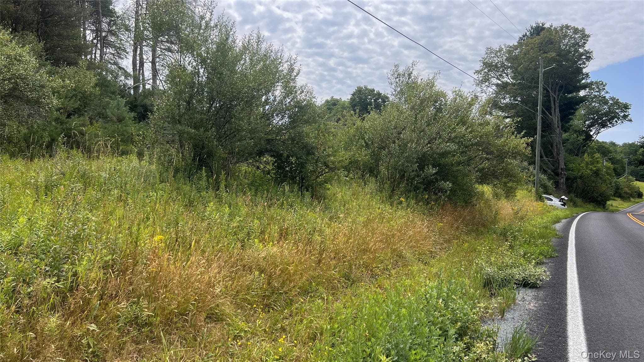 Horseshoe Lake Road thumbnail 5