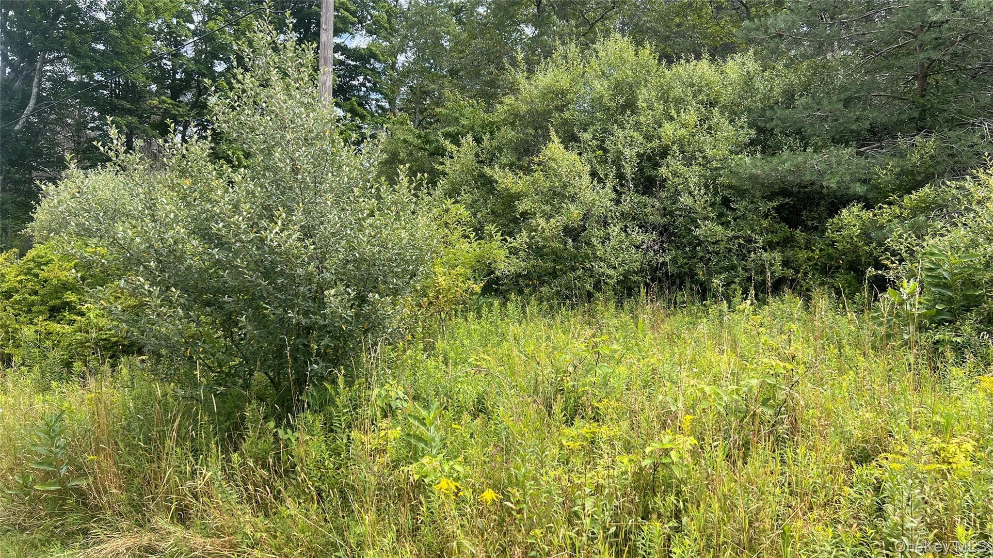 Horseshoe Lake Road thumbnail 3