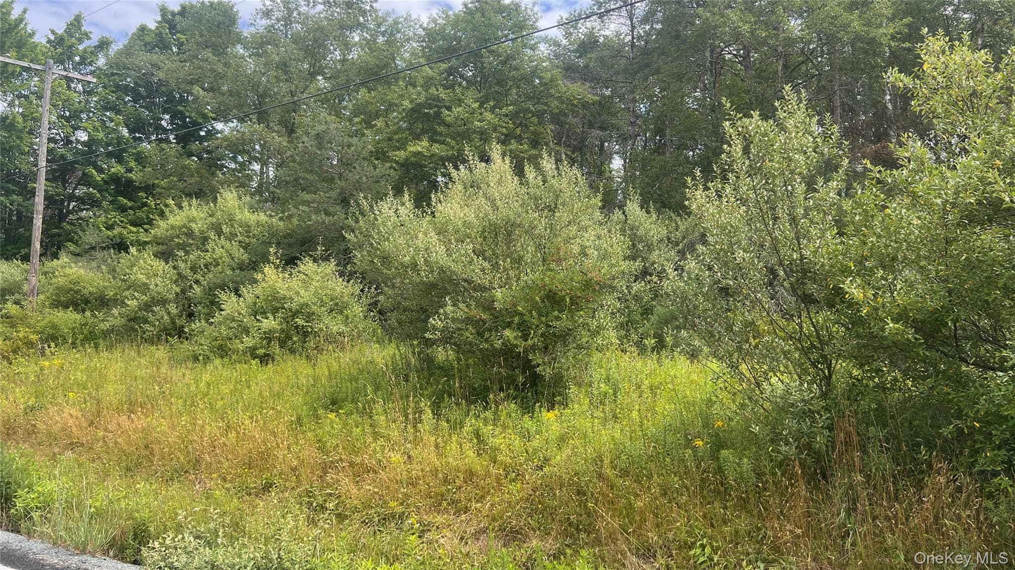 Horseshoe Lake Road thumbnail 2