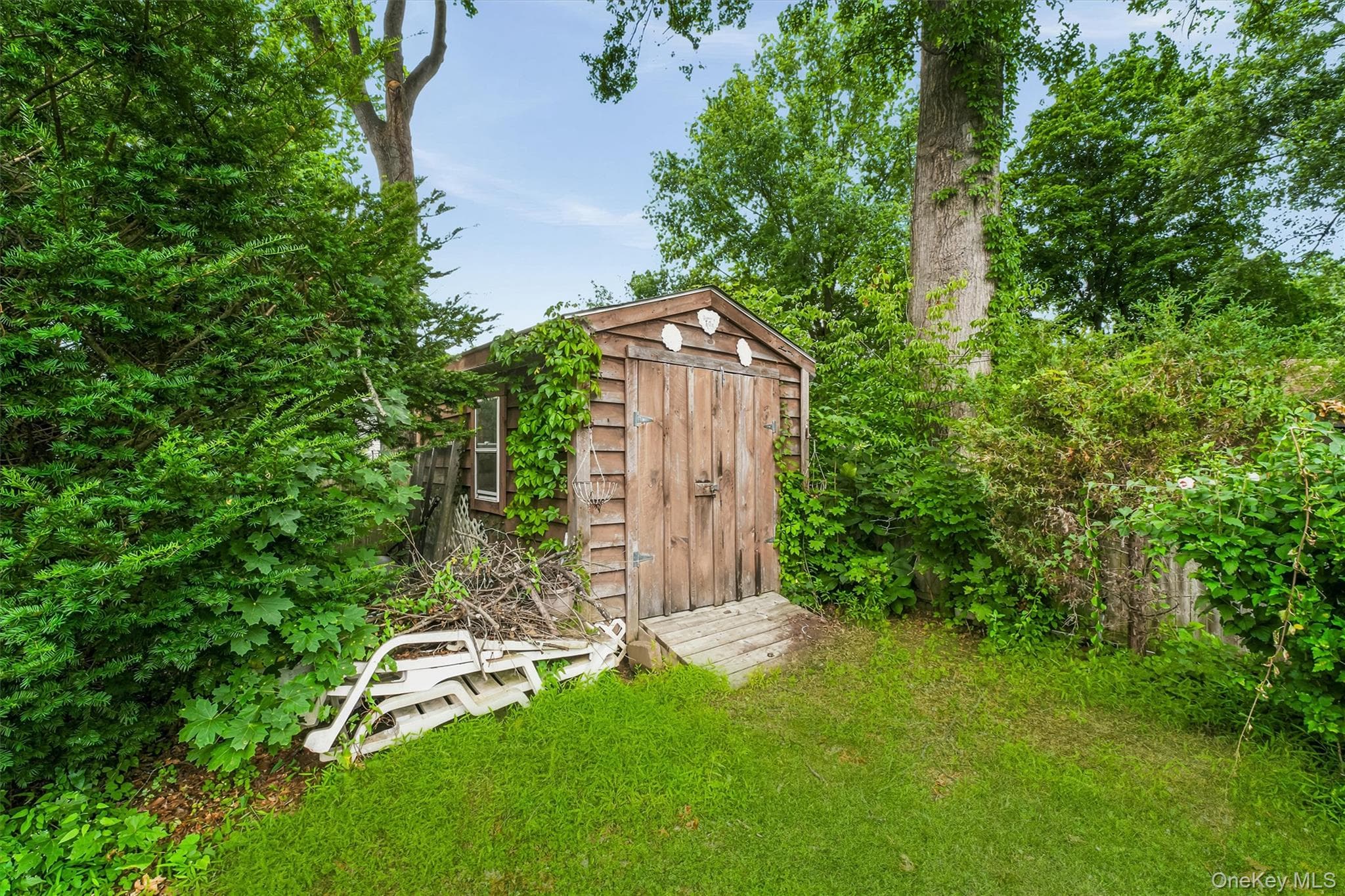 4 Broadview Road thumbnail 44