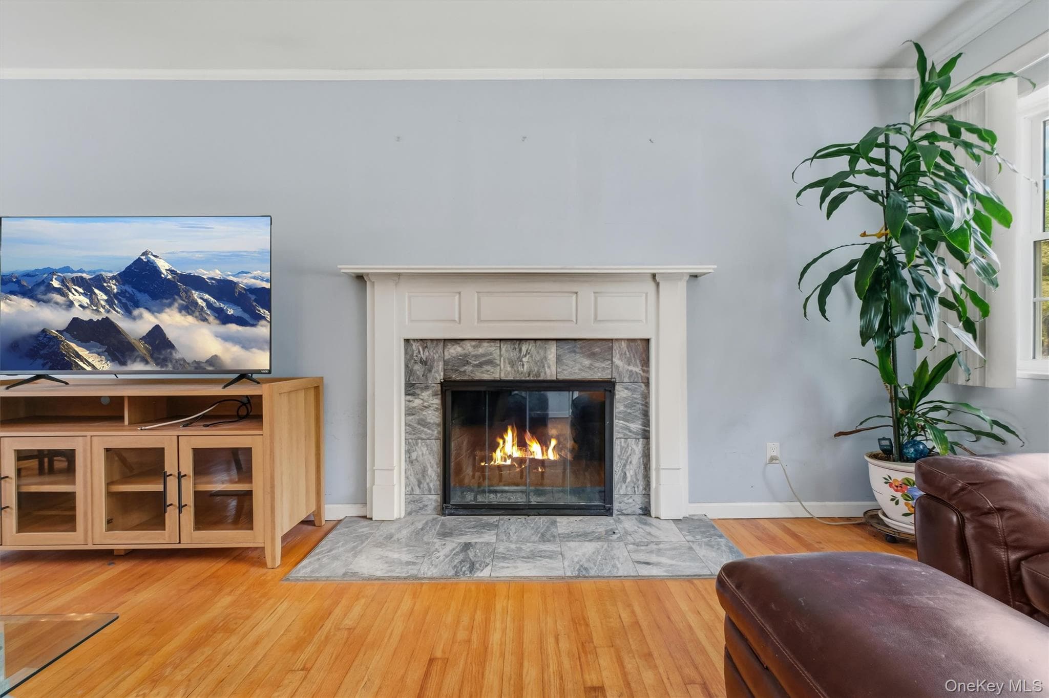 4 Broadview Road thumbnail 12