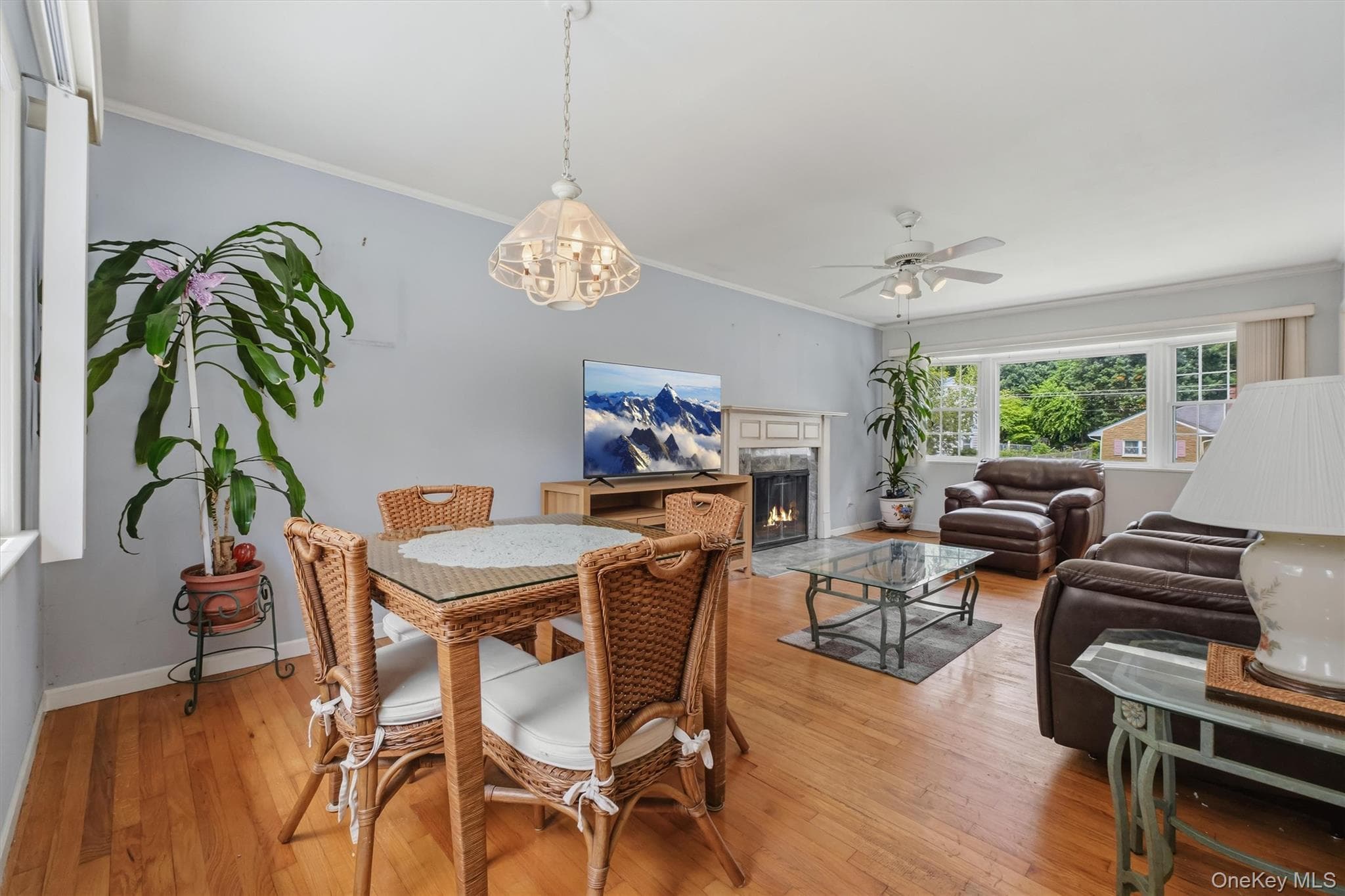 4 Broadview Road thumbnail 17