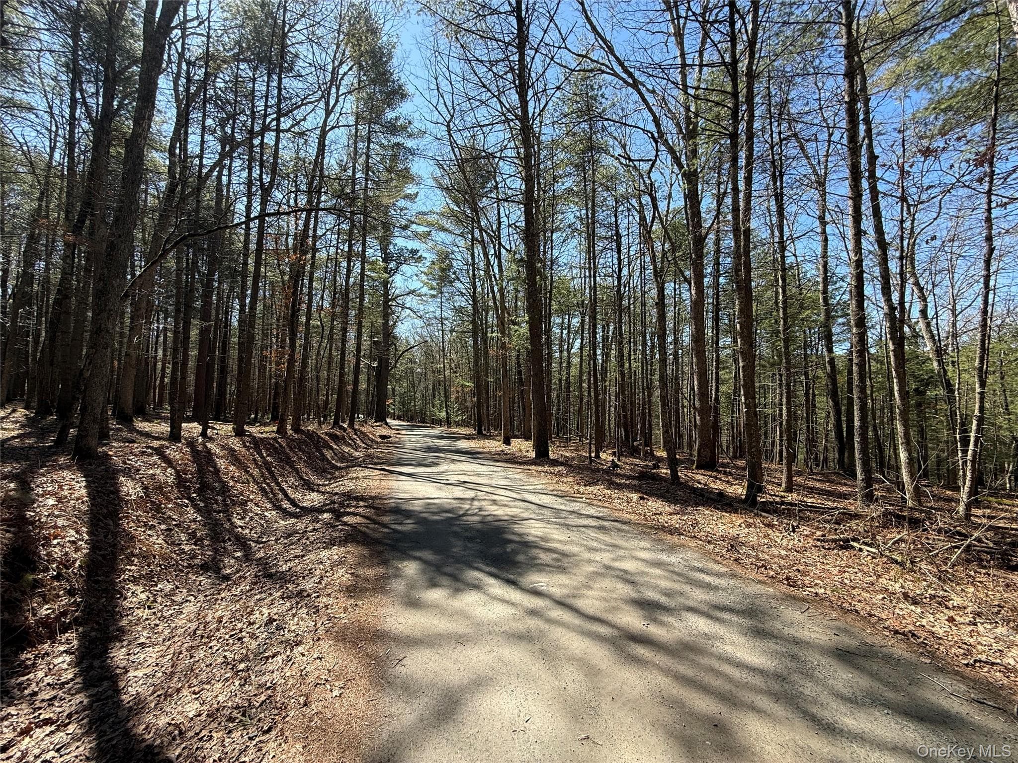 Upper Lumber Road thumbnail 4