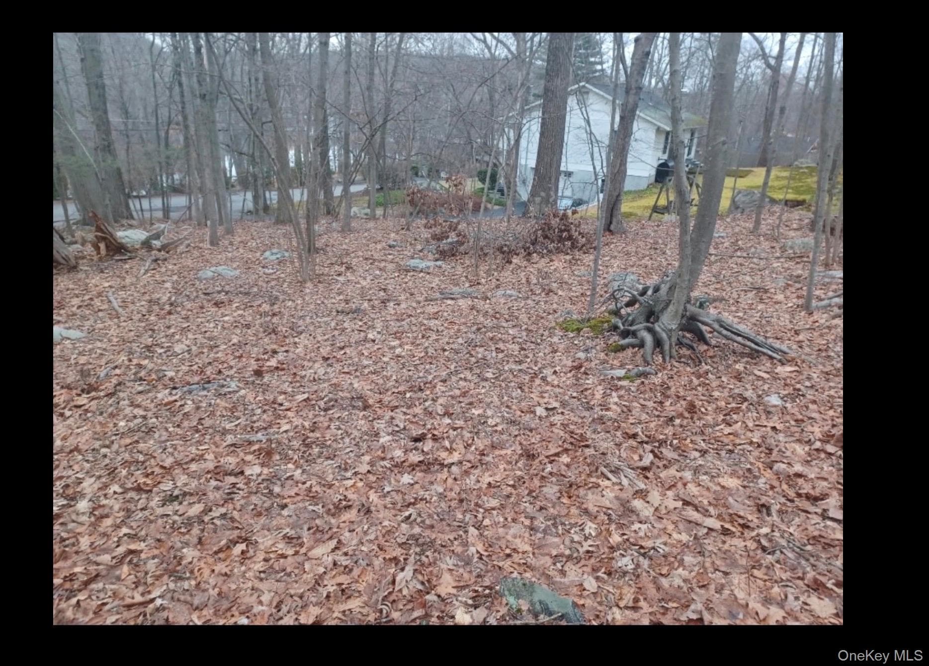 27 Jean Drive thumbnail 3