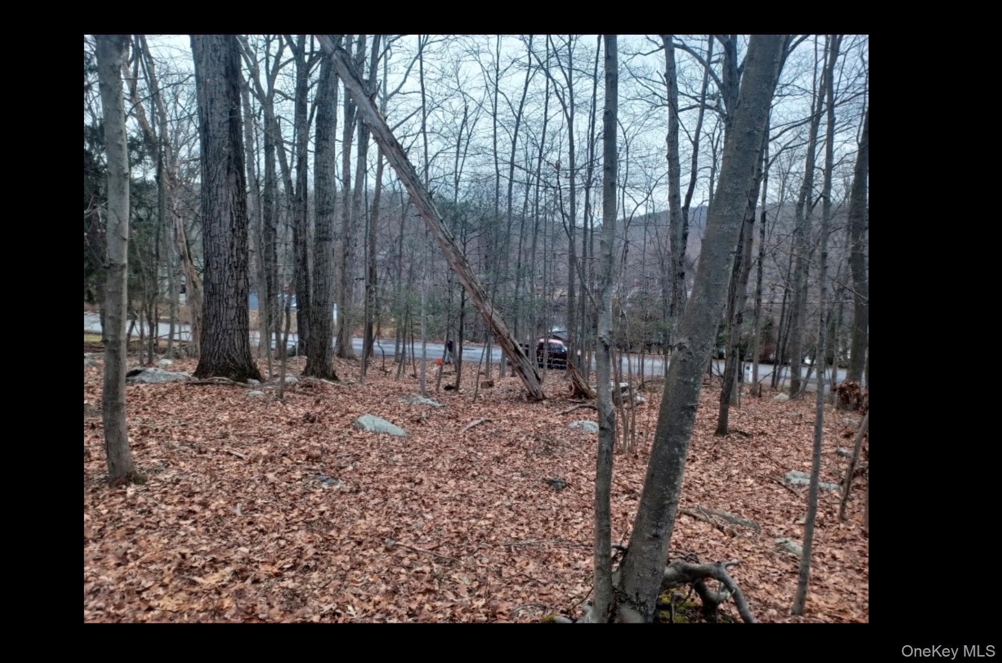 27 Jean Drive thumbnail 2