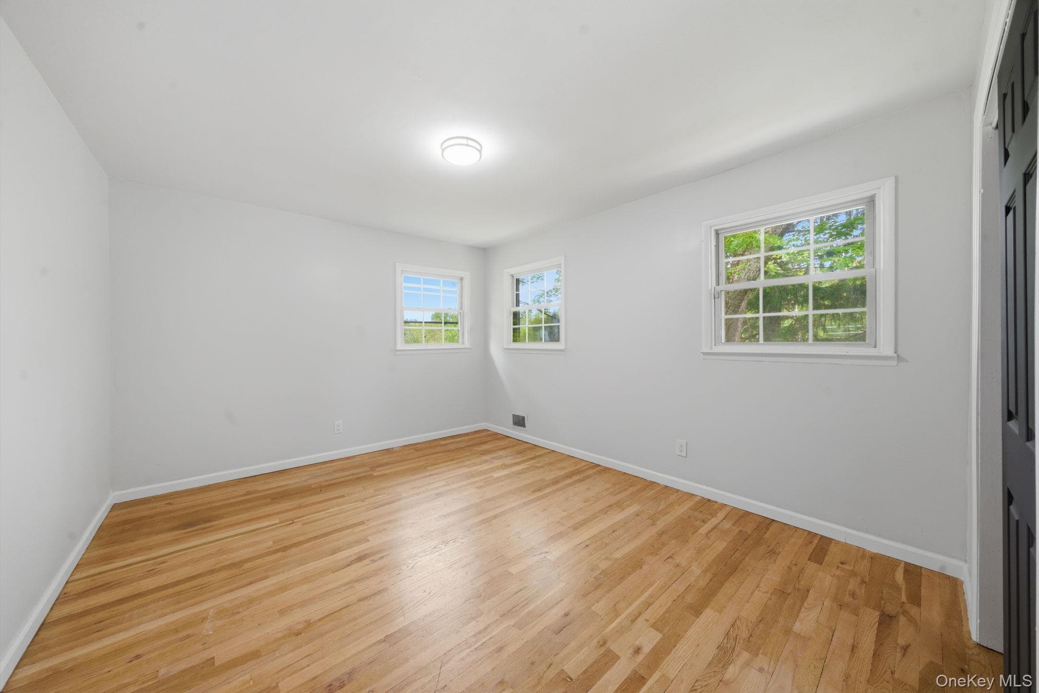 335 Lewis Avenue thumbnail 23