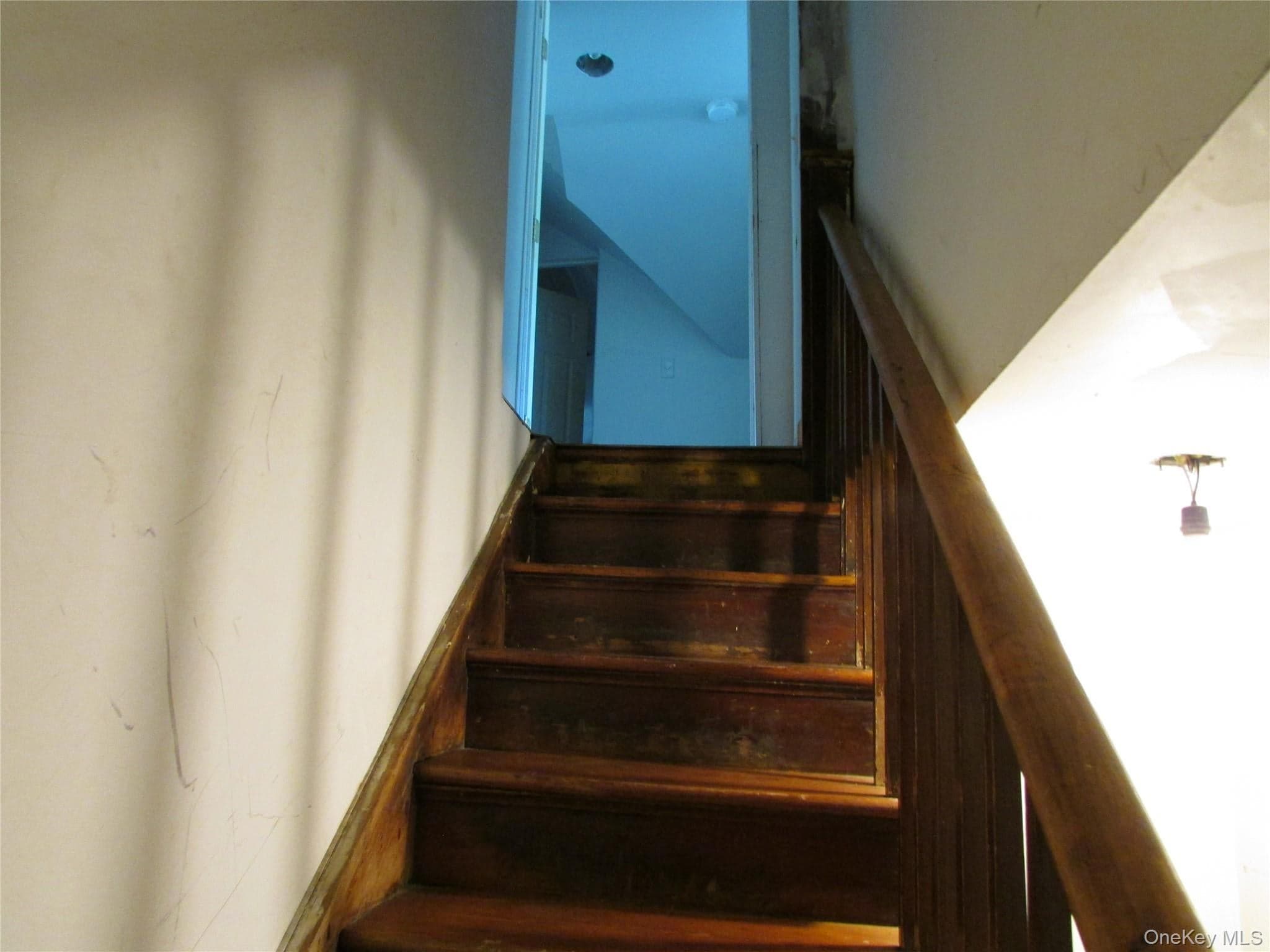 117 Ketcham Avenue thumbnail 44