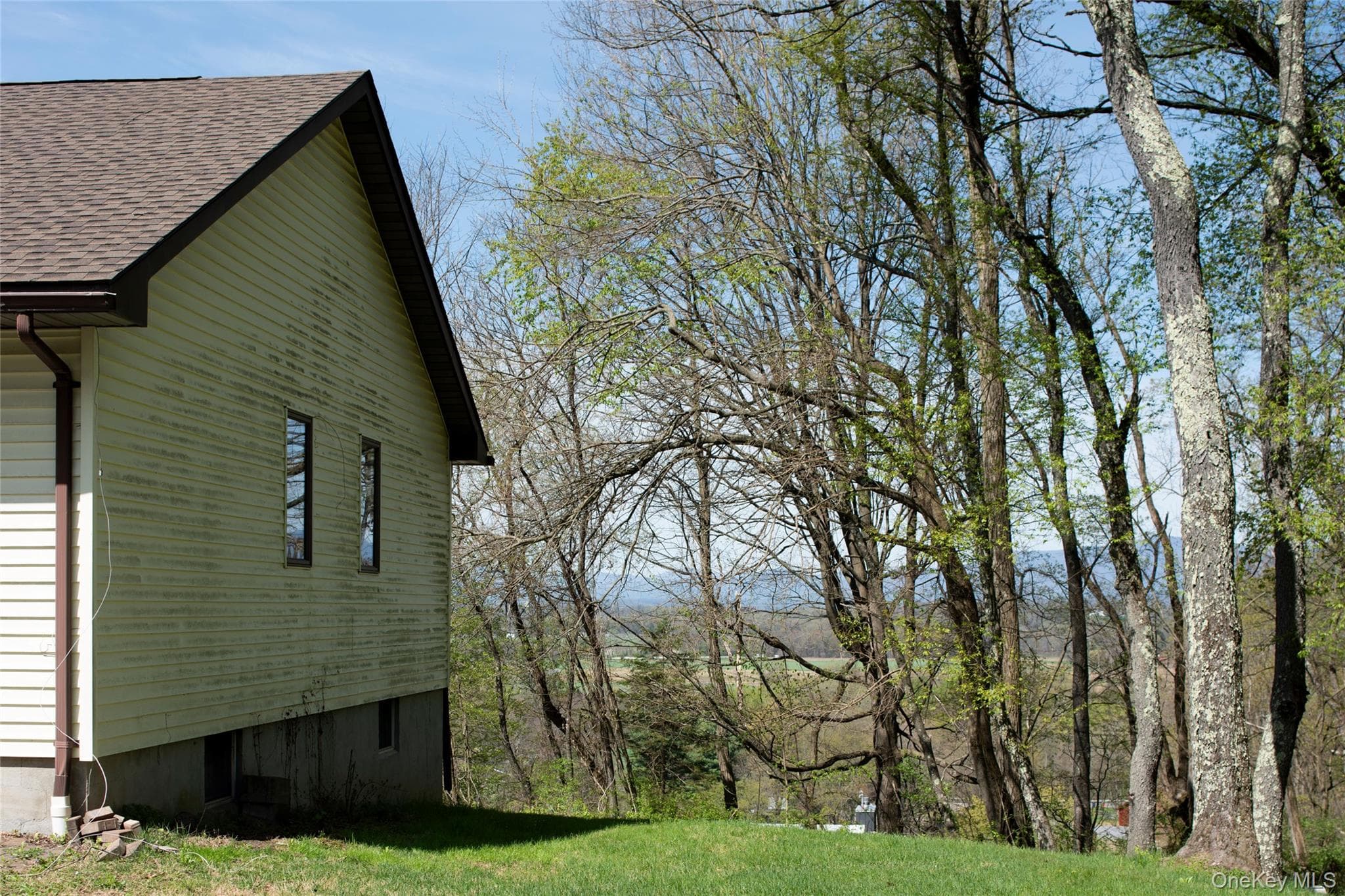 97 Spencer Drive thumbnail 2