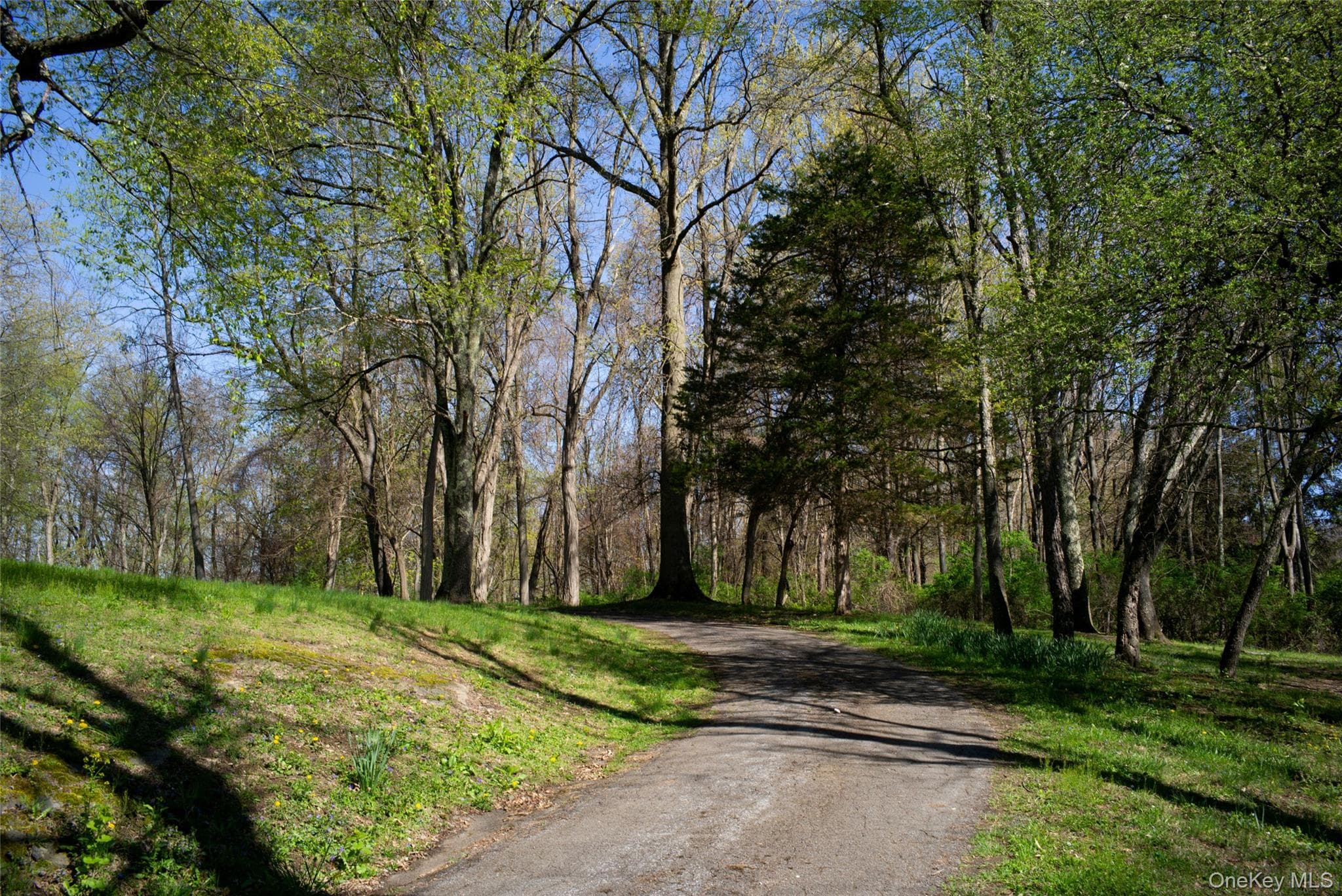 97 Spencer Drive thumbnail 13