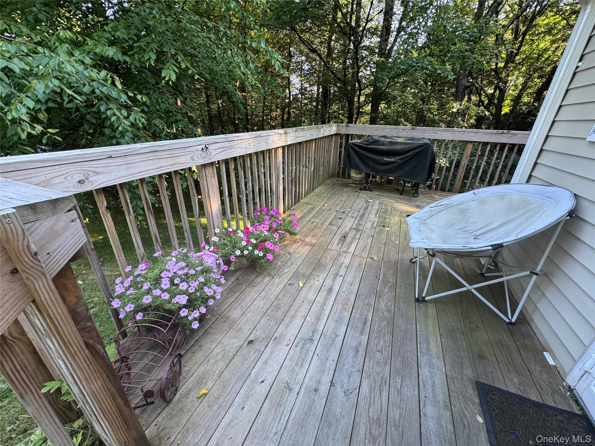 131 Ferndale Road thumbnail 12