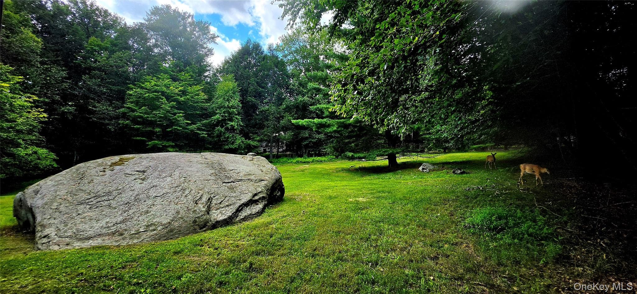 106 Pine Grove Road Tr 127 Rd thumbnail 10