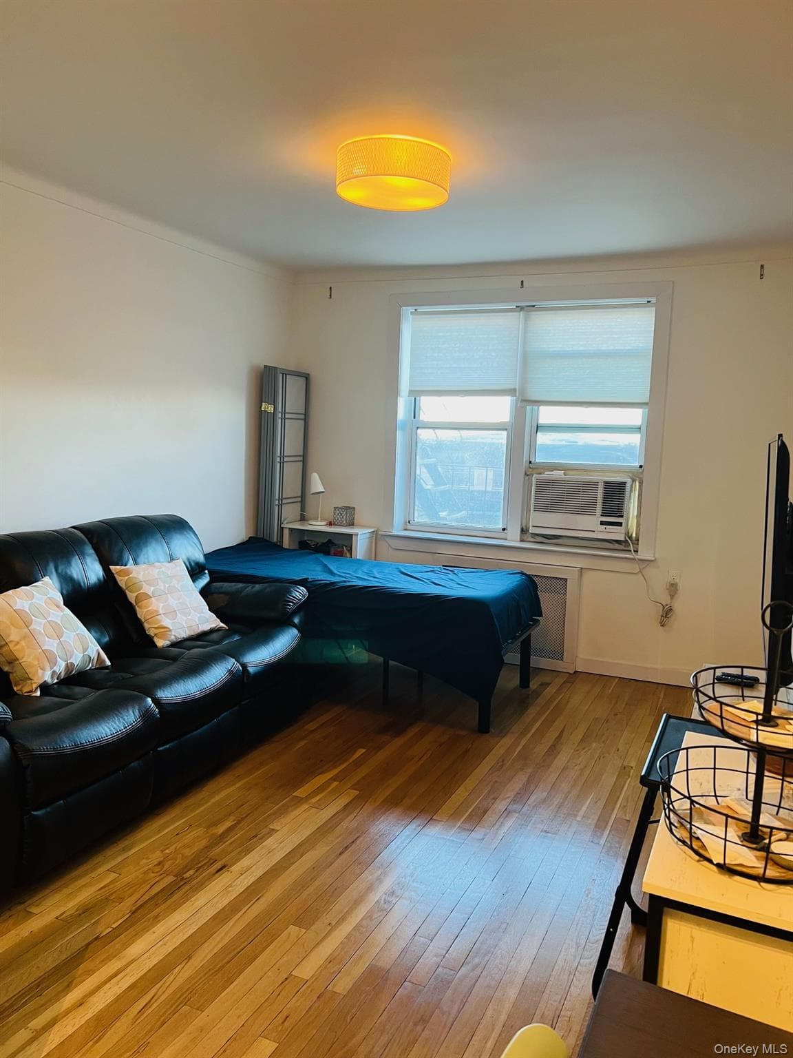 110-20 71st Ave Ave Unit: 416 thumbnail 6