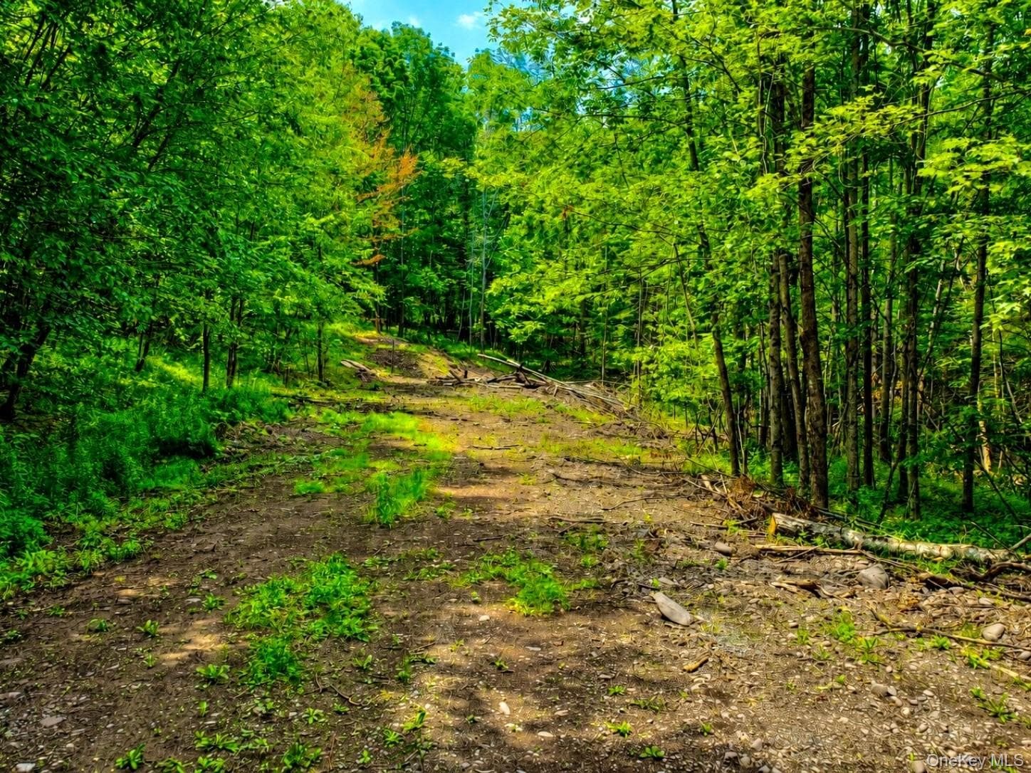 TBD Valley View Road thumbnail 10