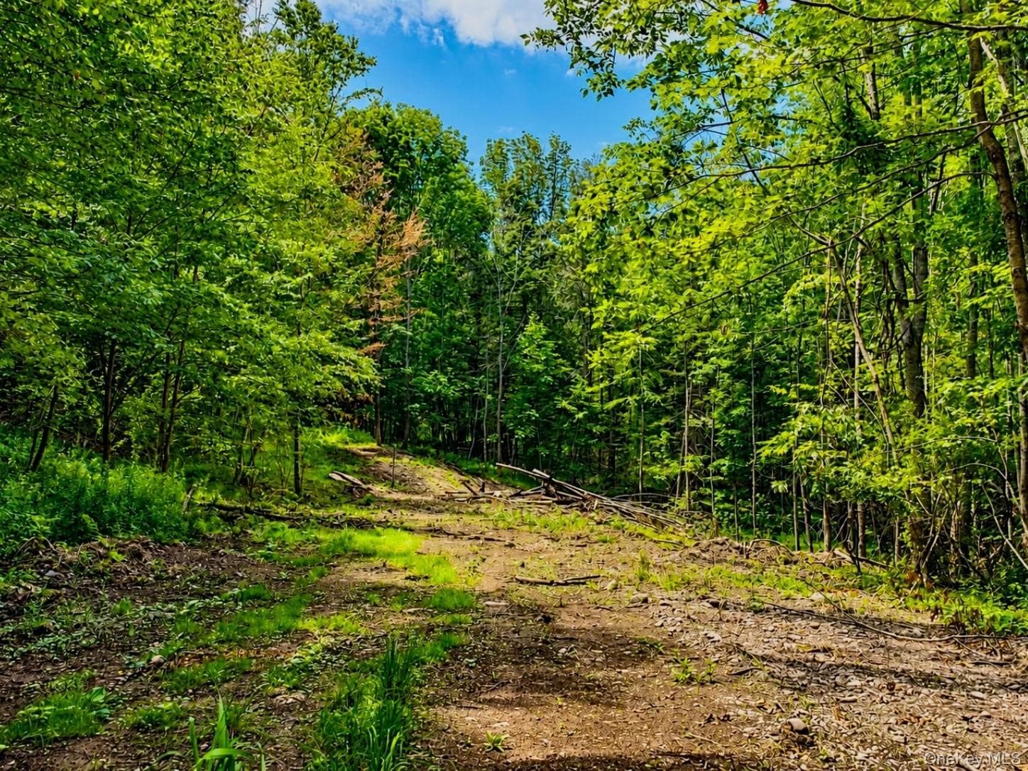 TBD Valley View Road thumbnail 11