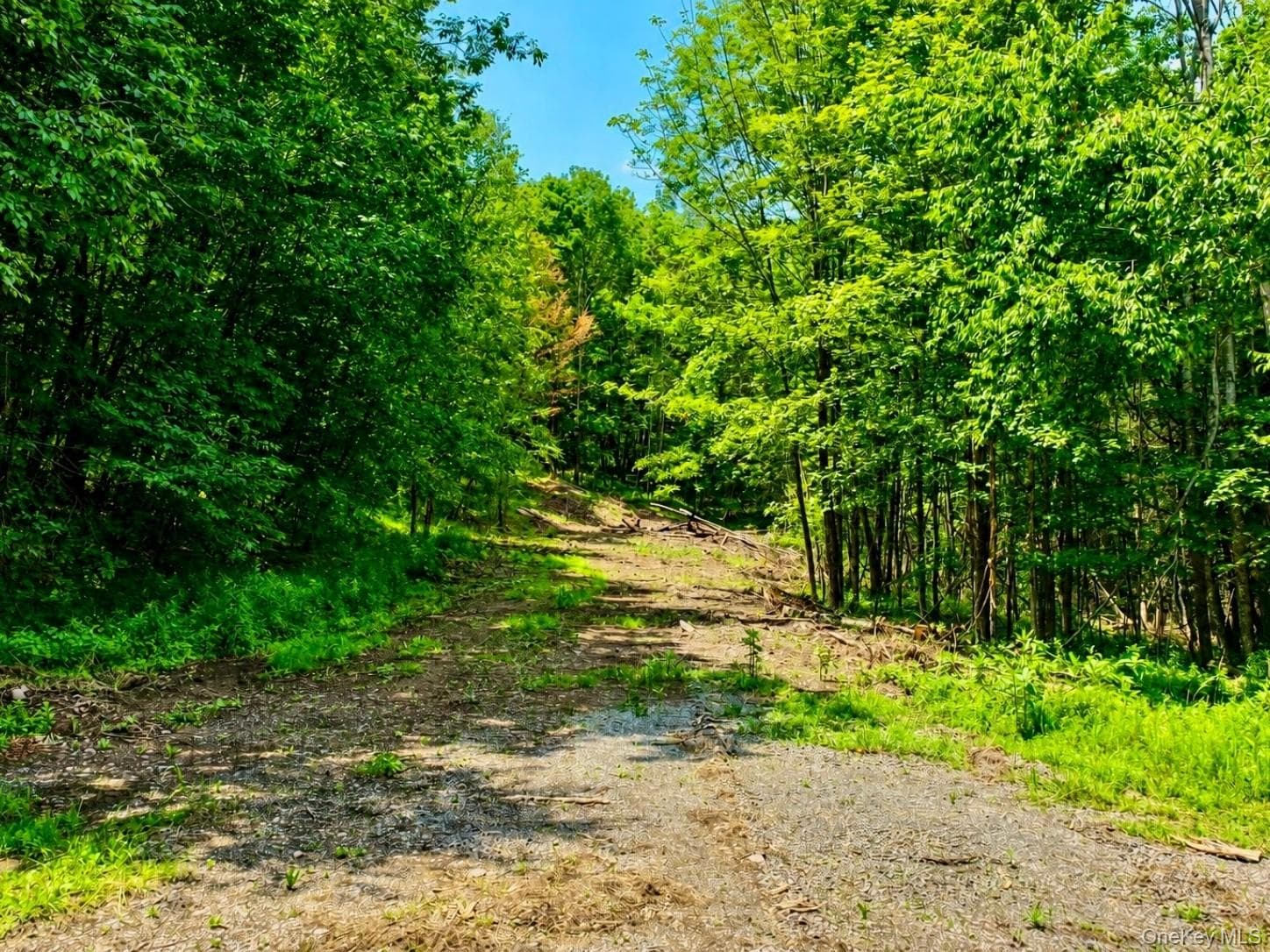 TBD Valley View Road thumbnail 9