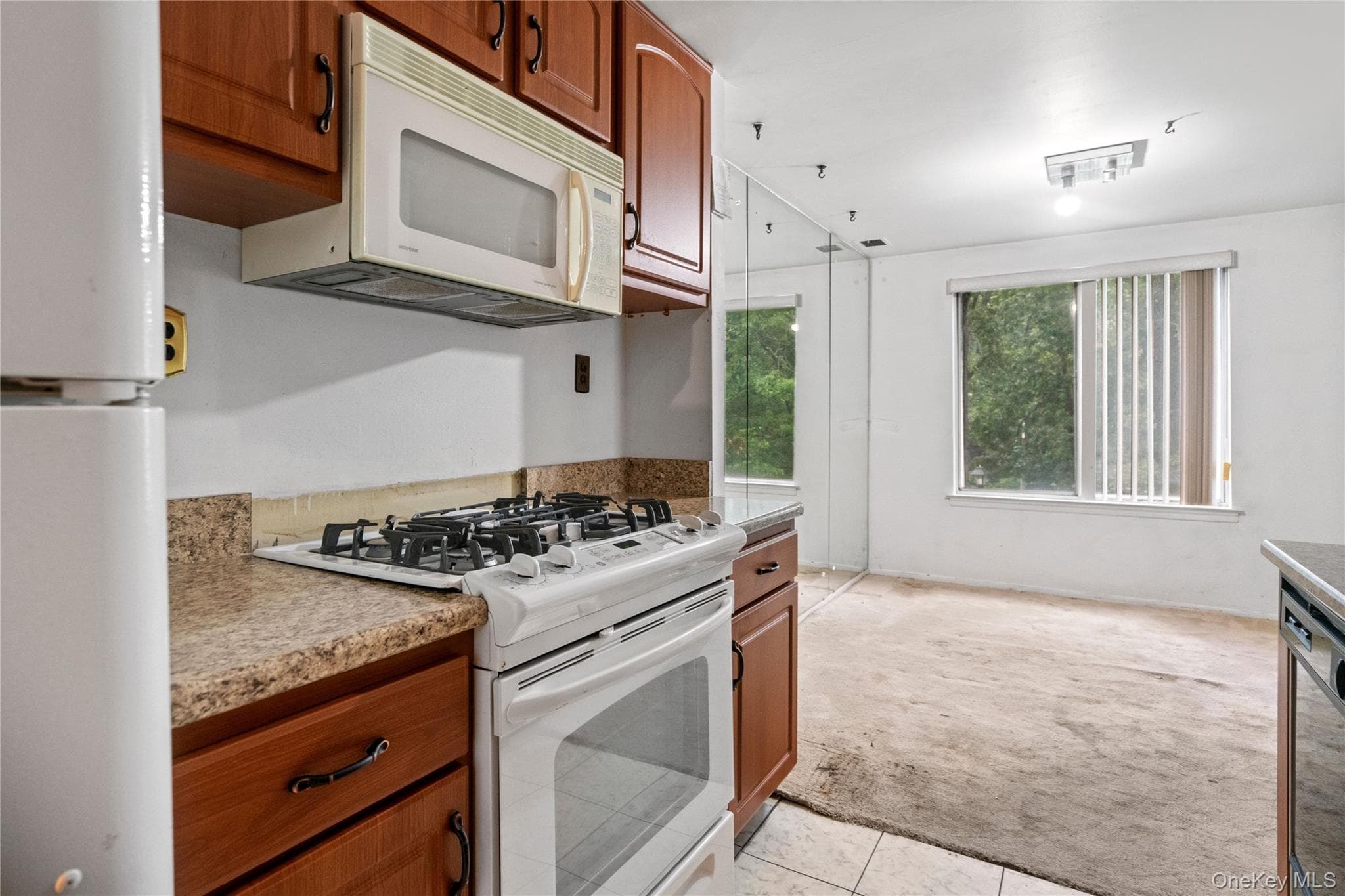 221 Sagamore Hills Drive Unit: 221 thumbnail 14