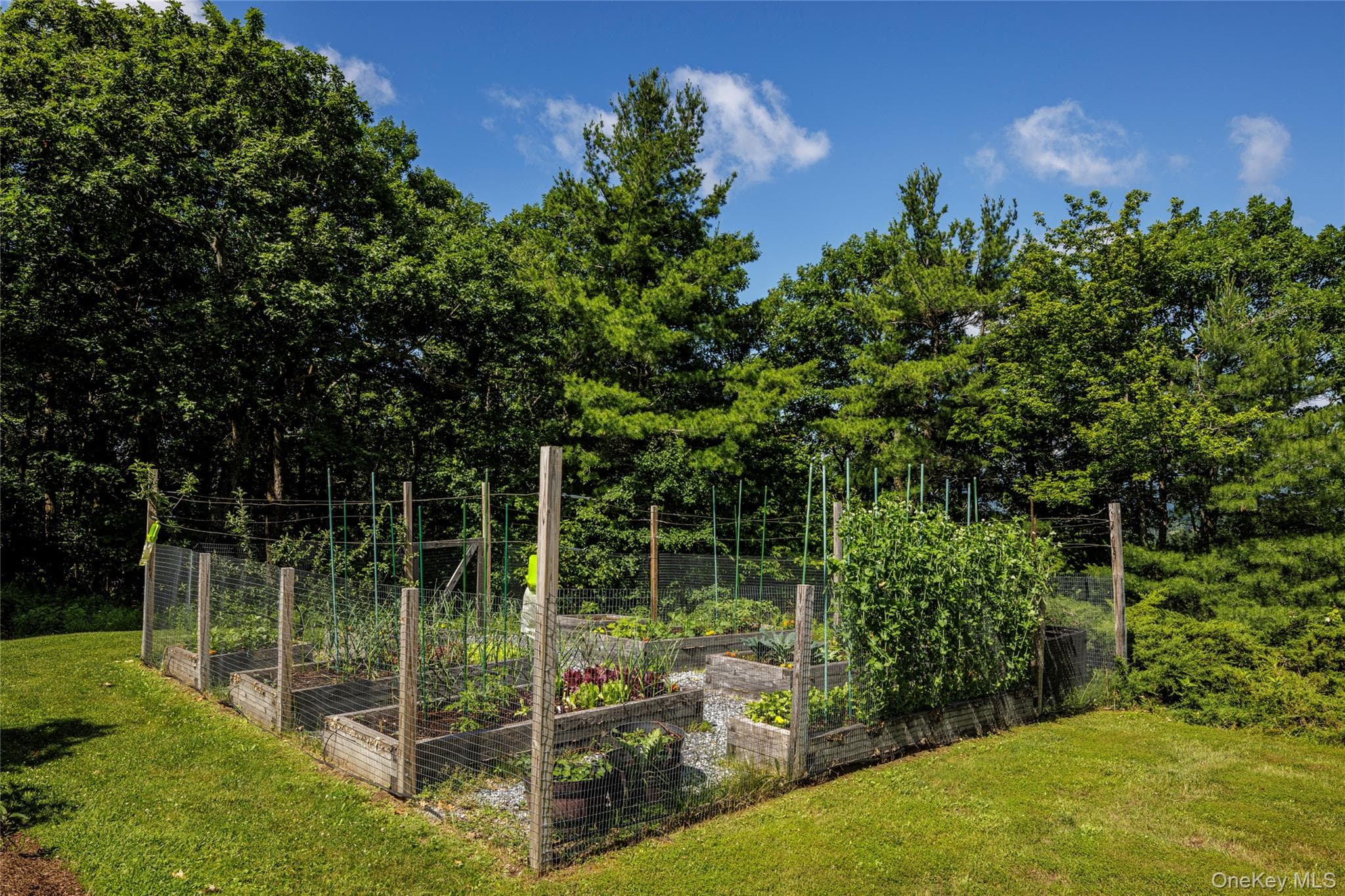 116 Ridge Road thumbnail 34