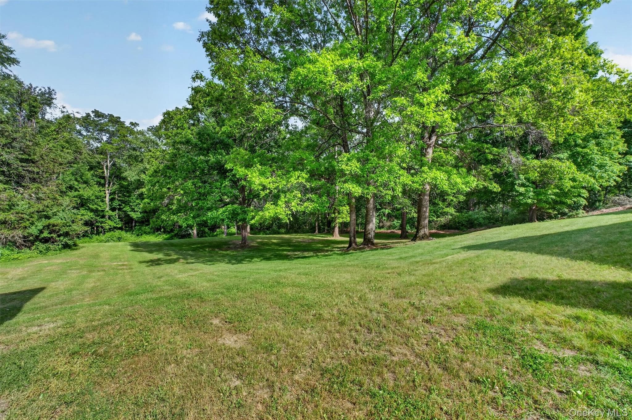 112 Dubois Road thumbnail 36