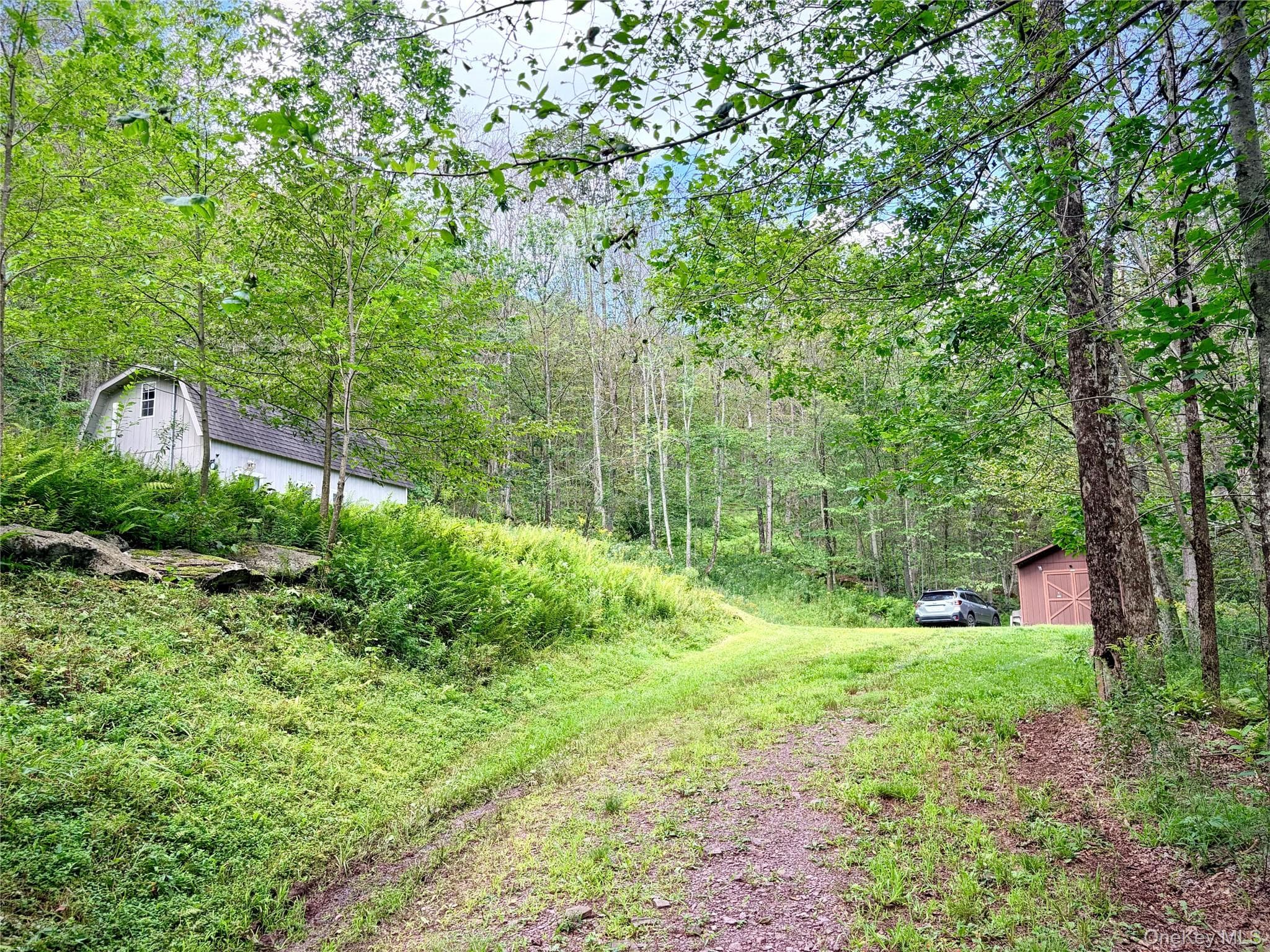 494 Doyle Road thumbnail 16
