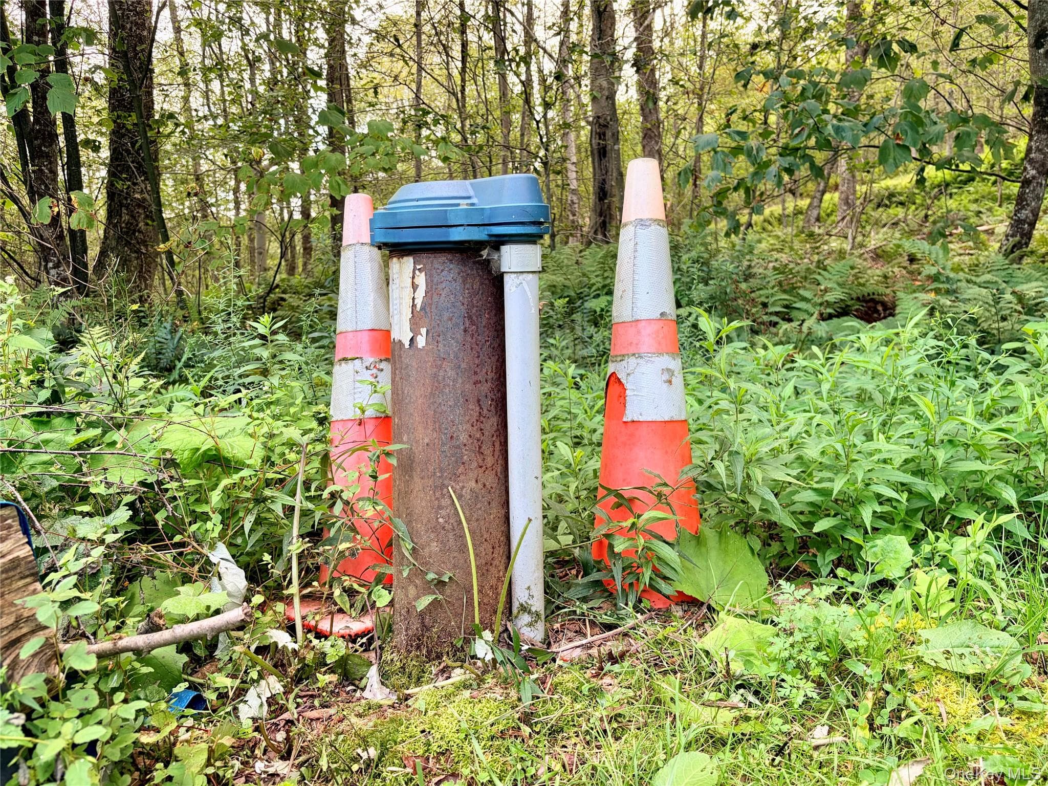 494 Doyle Road thumbnail 29