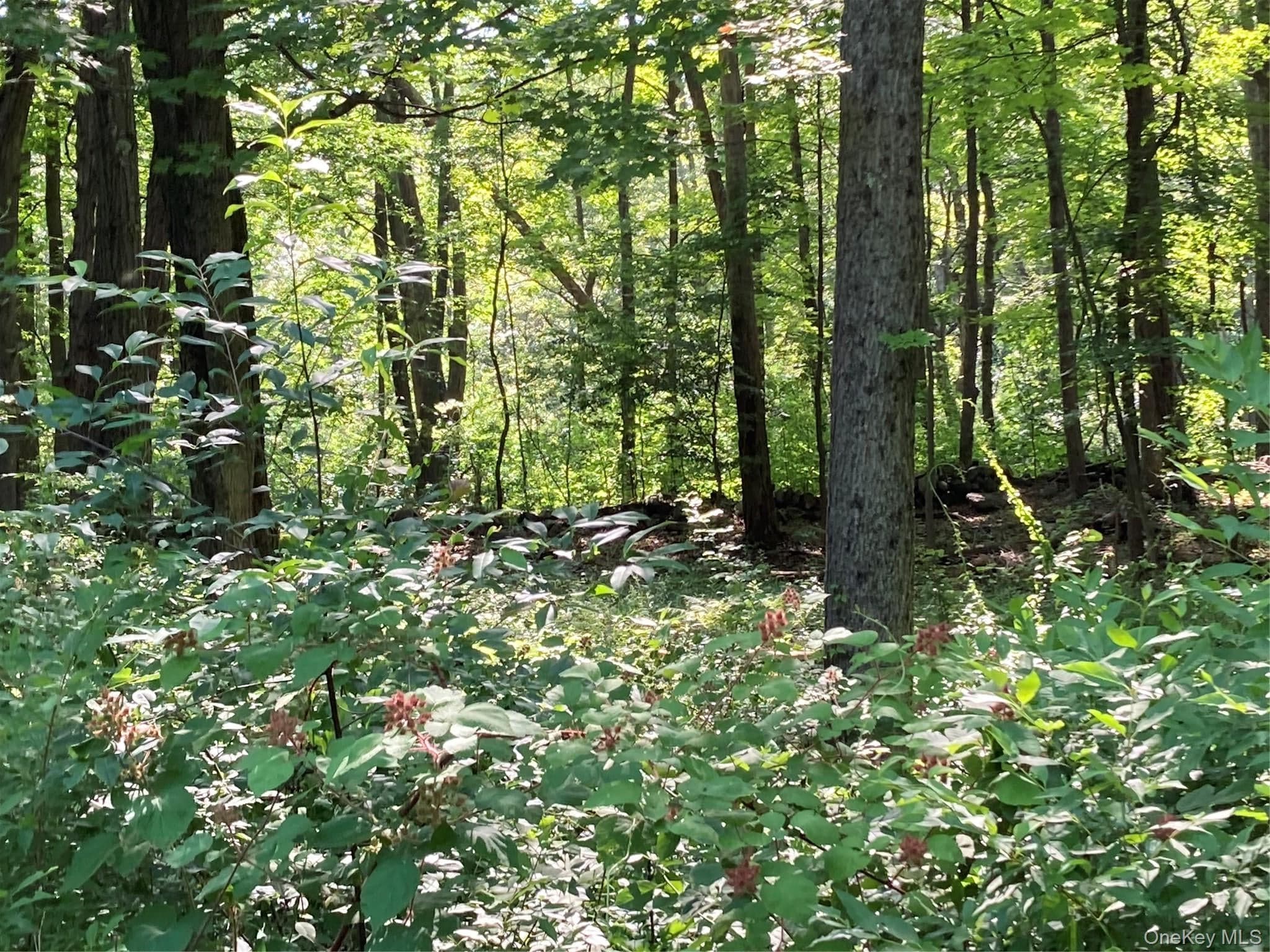 15 Adam Wagner Lane thumbnail 12