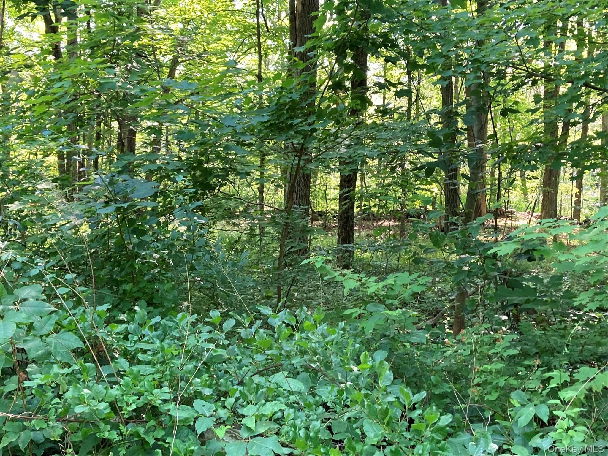 15 Adam Wagner Lane thumbnail 11