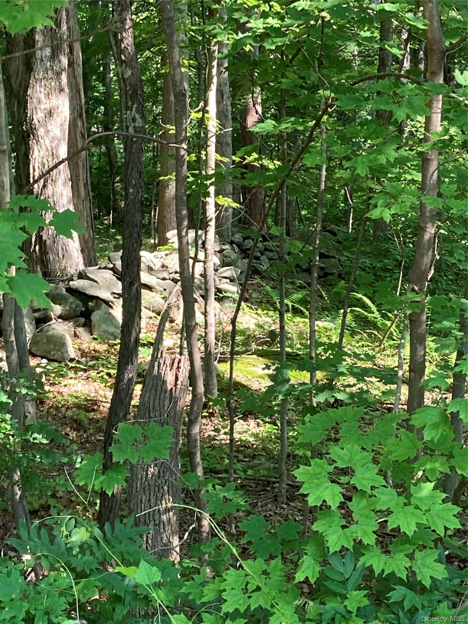 15 Adam Wagner Lane thumbnail 8