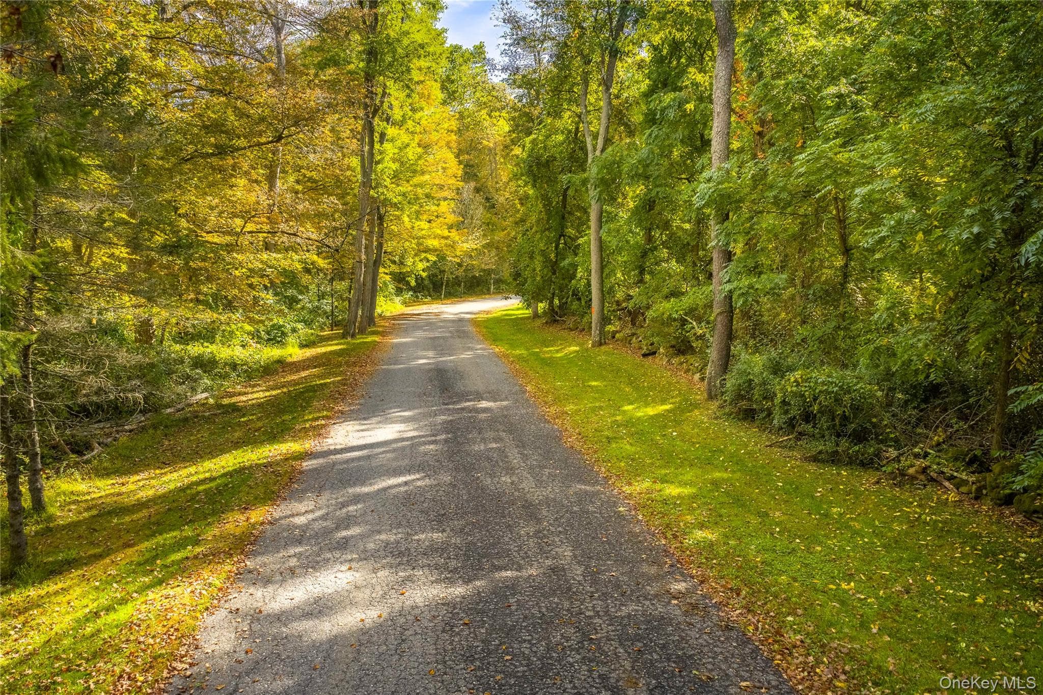 Lot 21 Cox Road thumbnail 8