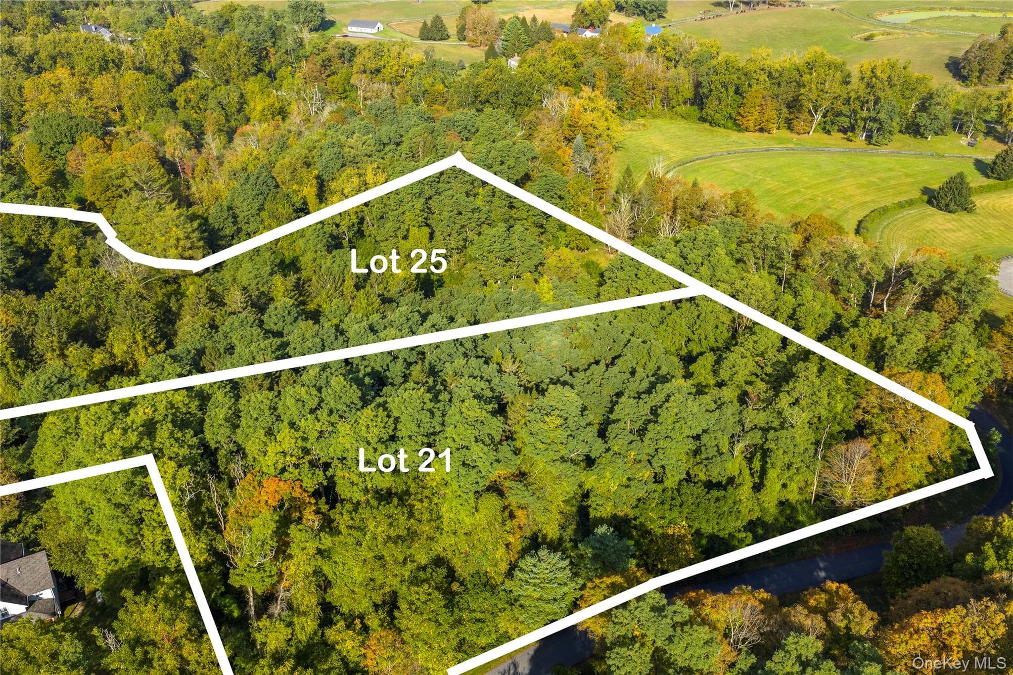 Lot 21 Cox Road thumbnail 2