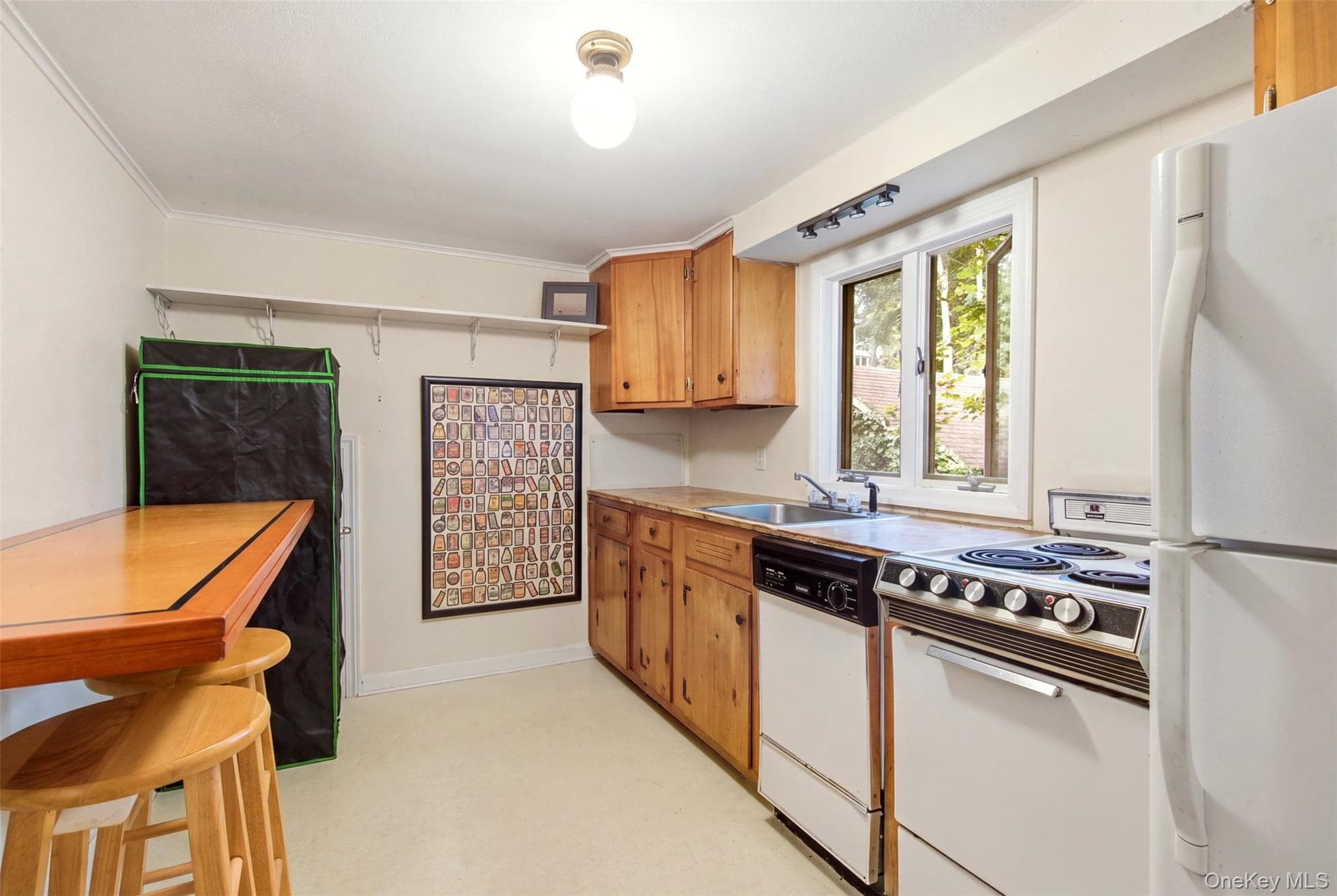 35 Ward Avenue thumbnail 17