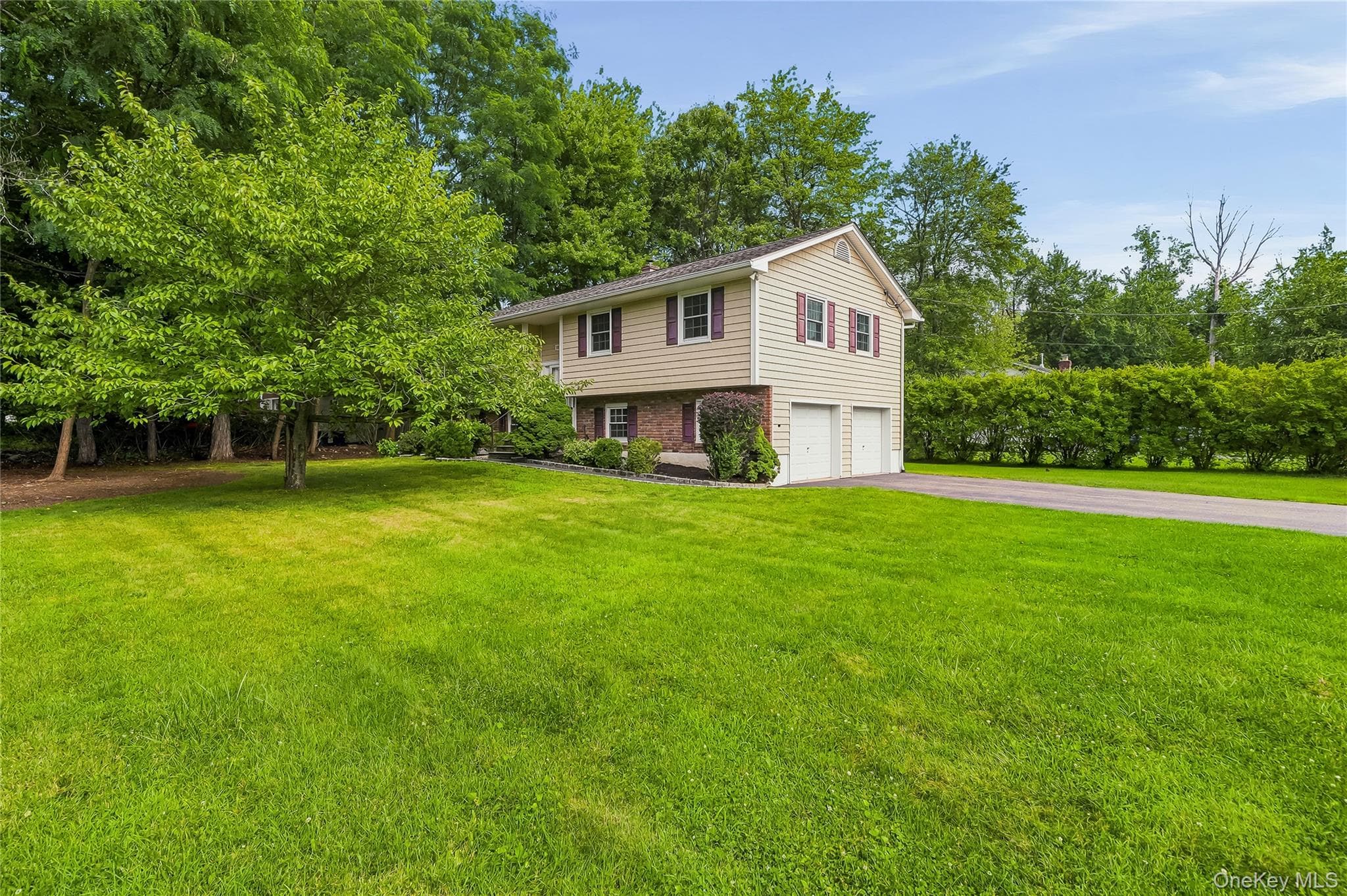 181 Montross Road thumbnail 4