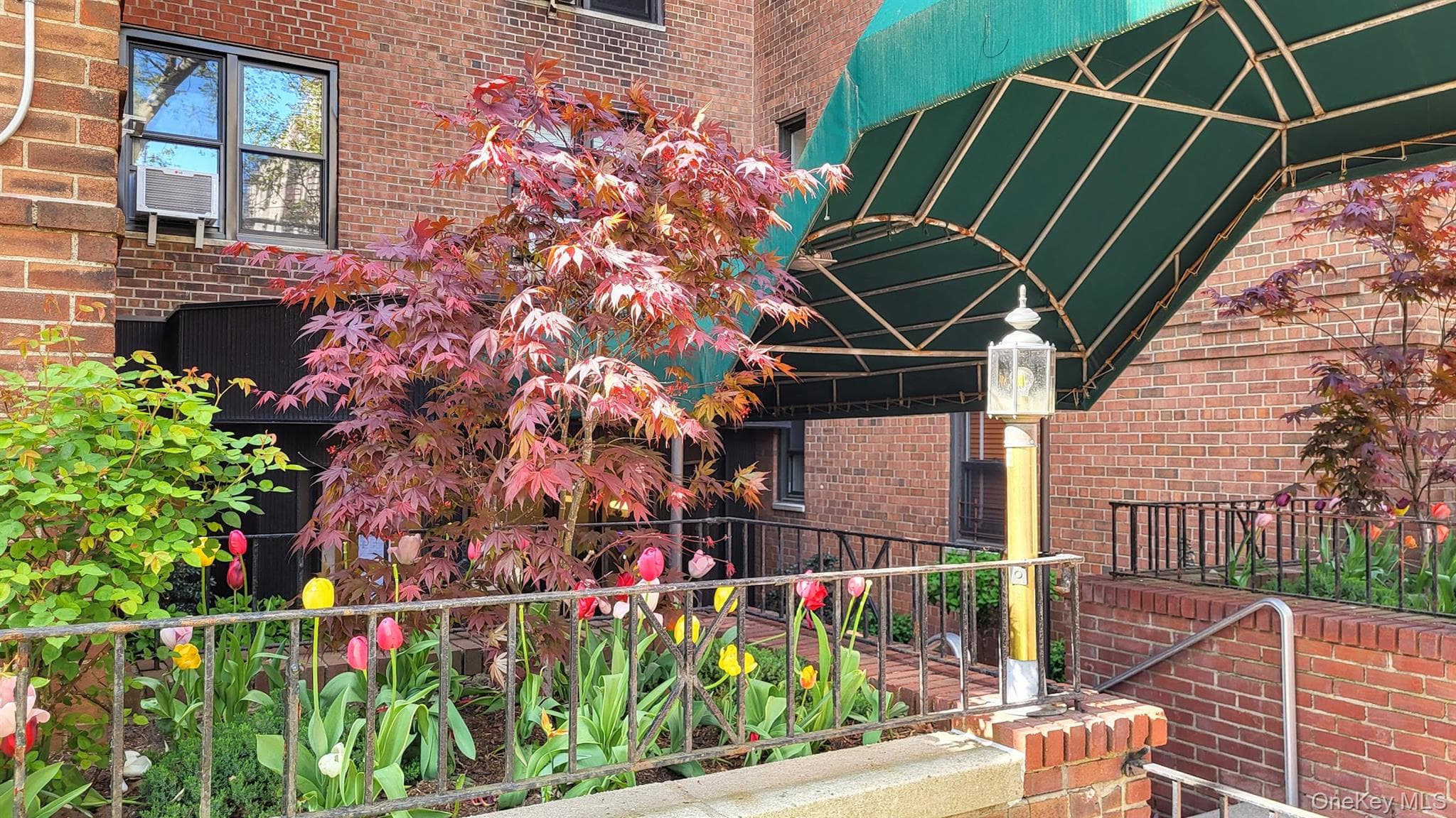 61 Oliver Street Unit: 5B thumbnail 2
