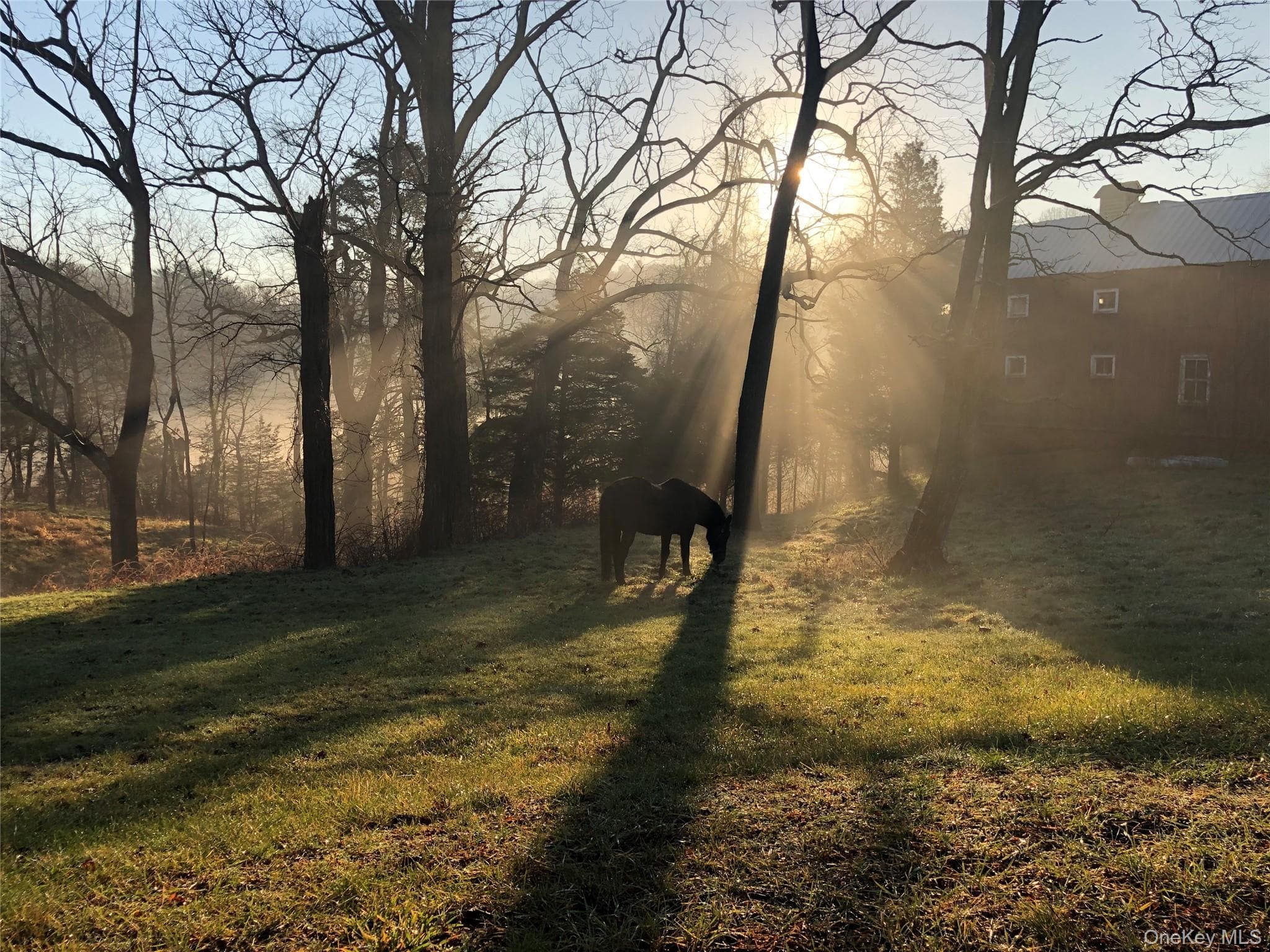 38 Landing Meadow Road thumbnail 40