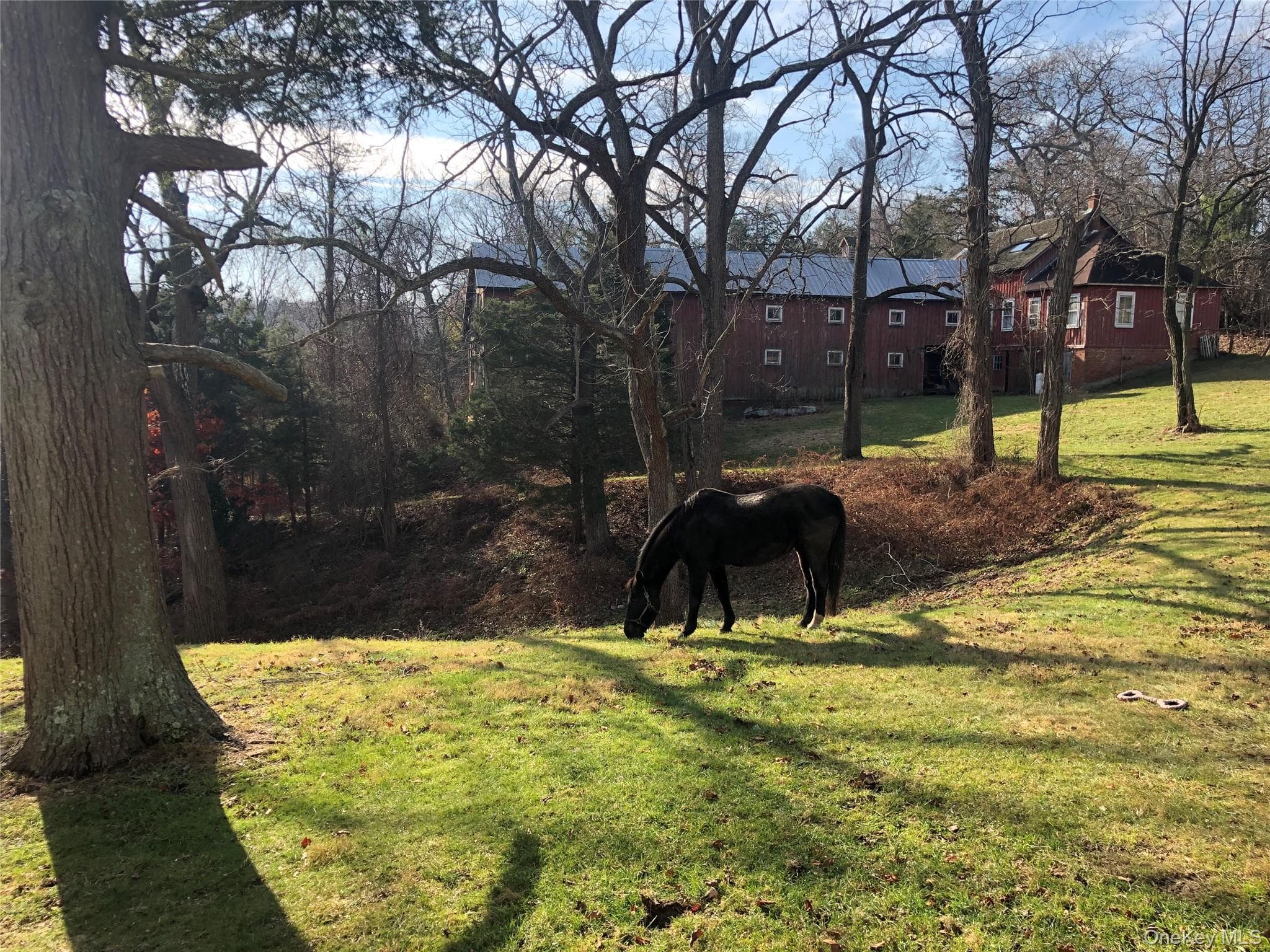 38 Landing Meadow Road thumbnail 41
