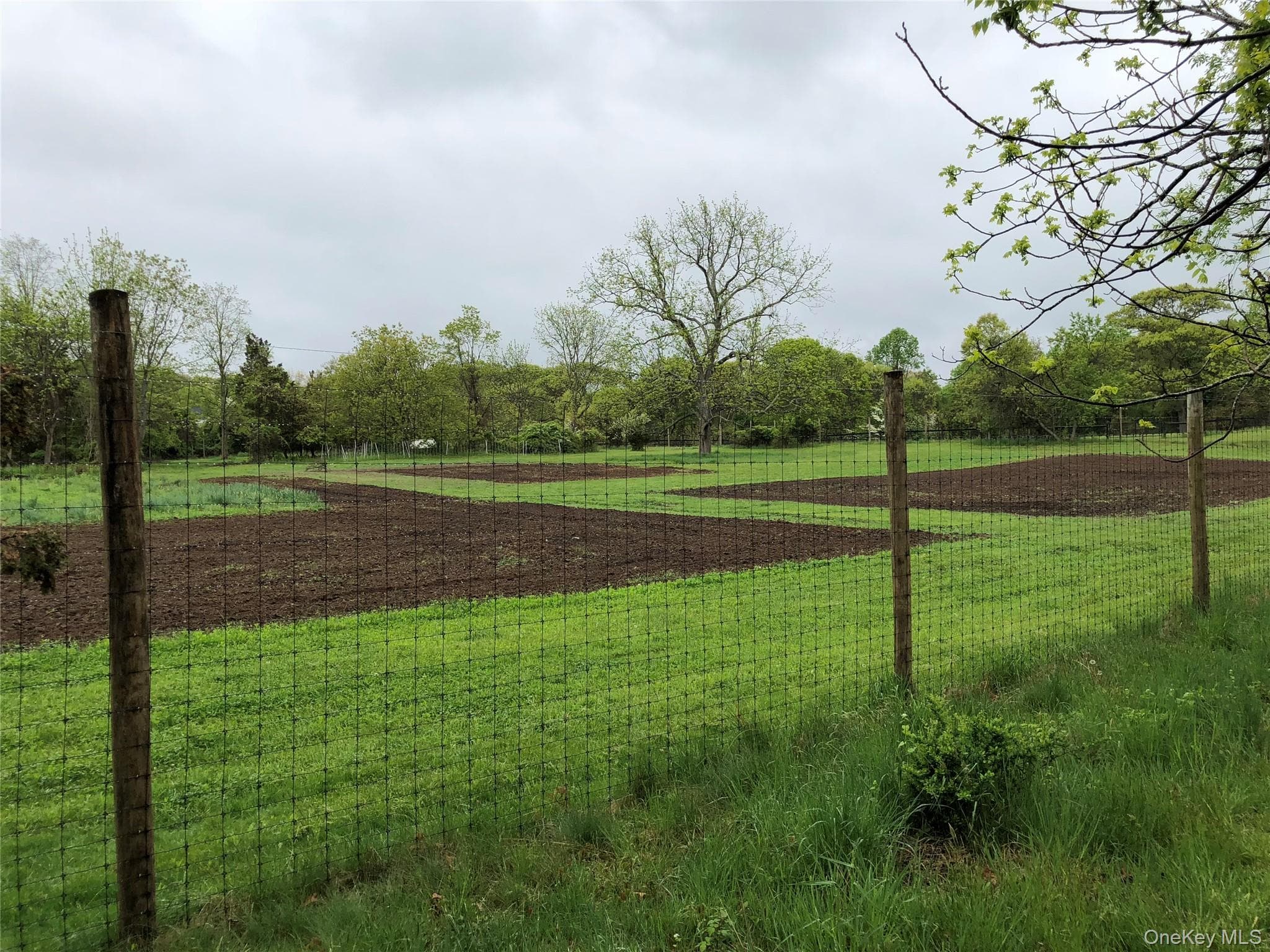38 Landing Meadow Road thumbnail 42