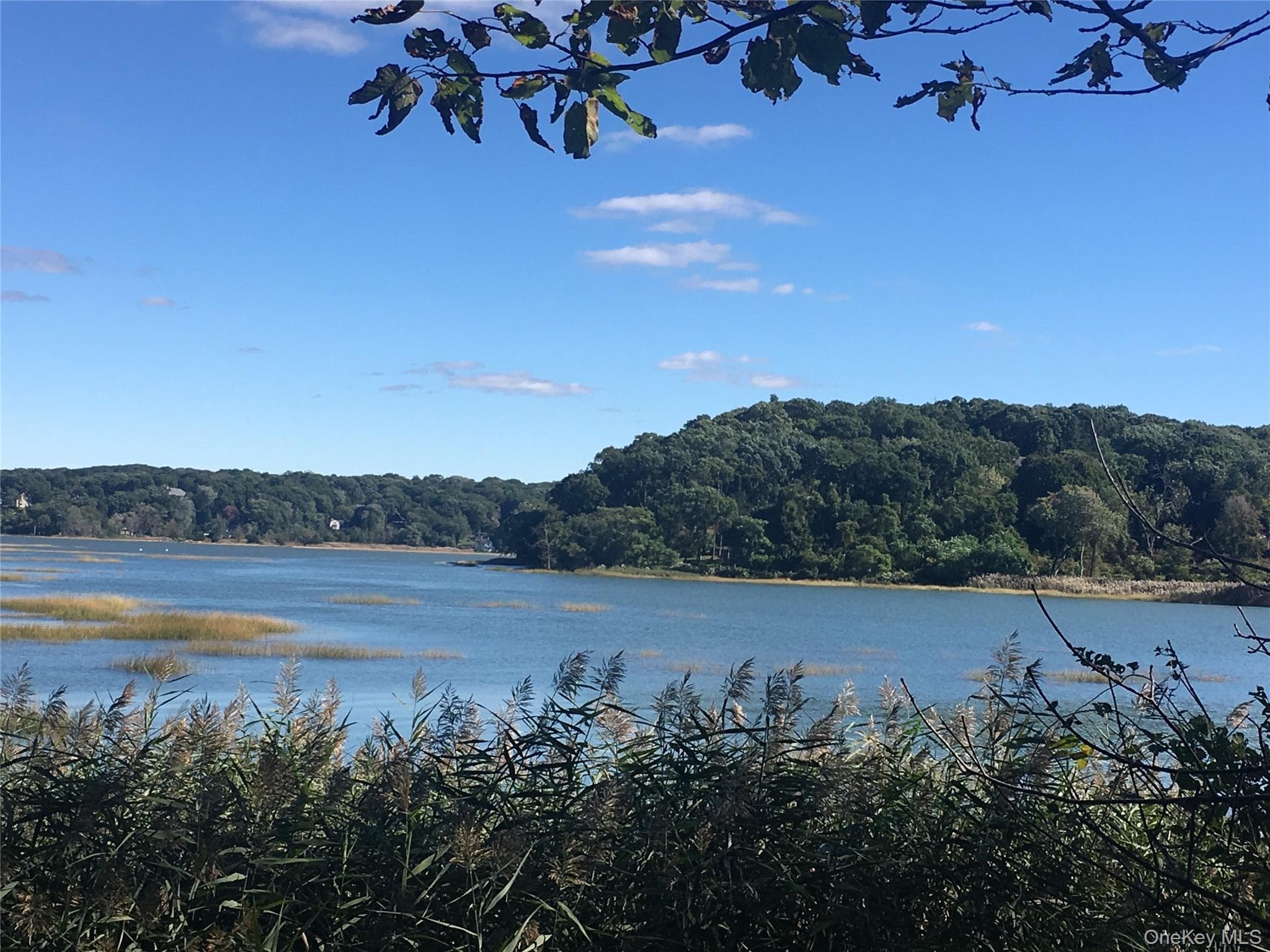 87 Soundview Drive thumbnail 44
