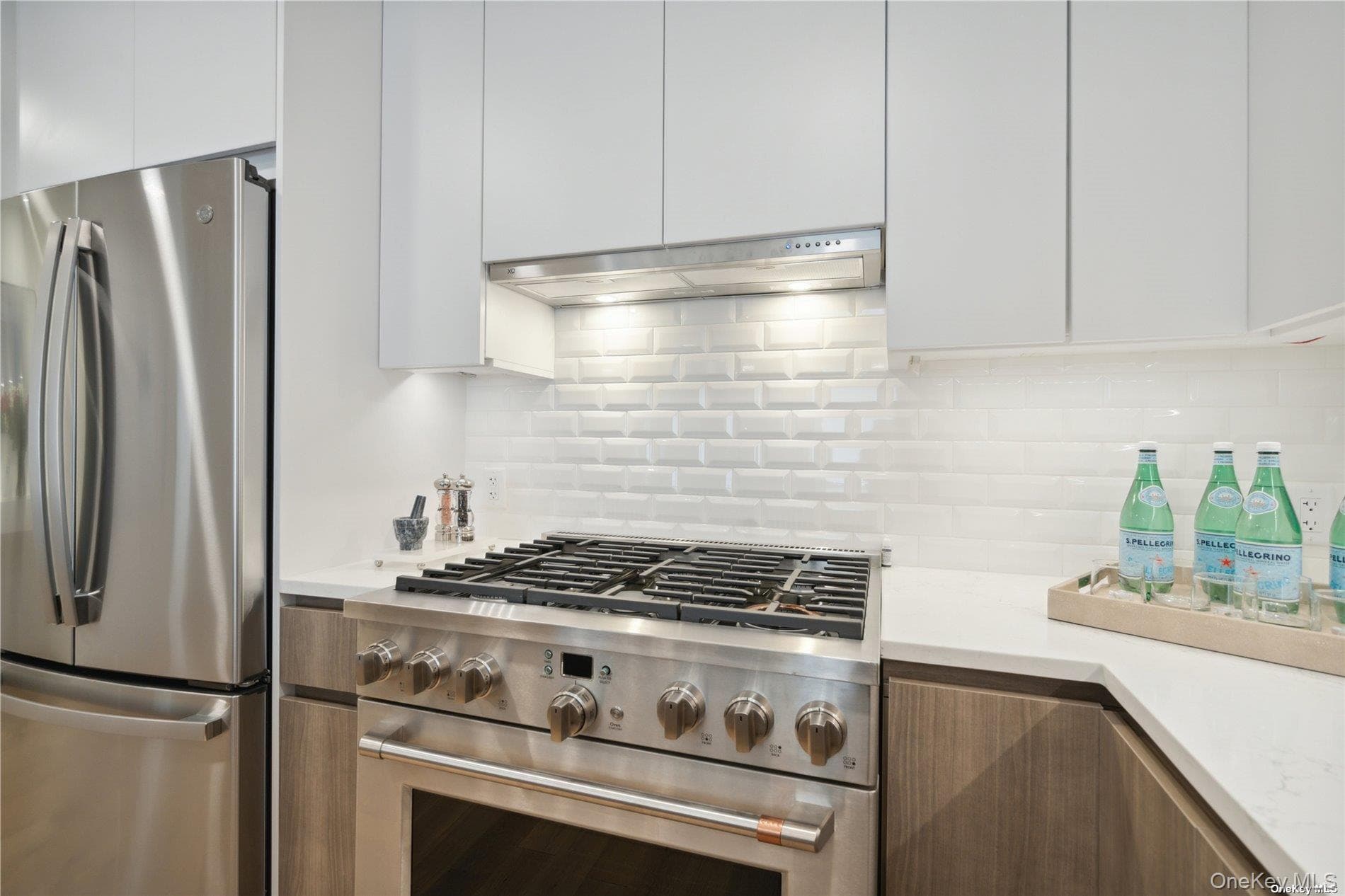 218 Middle Neck Road Unit: 102 thumbnail 24